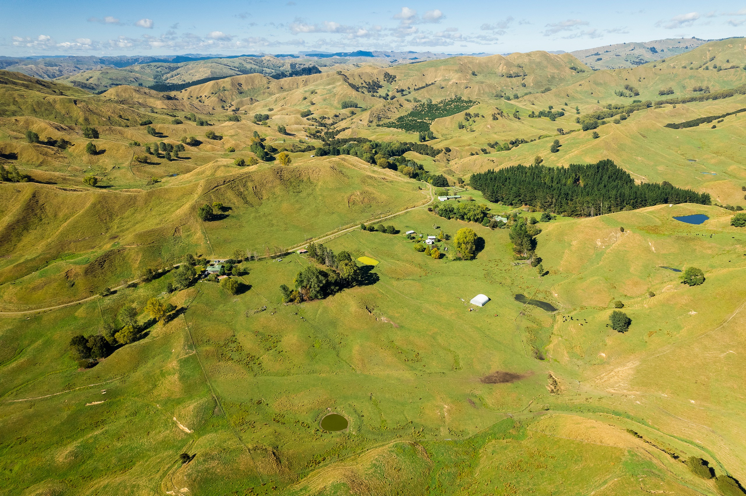 286 & 306 Mahaki Settlement Road, Otoko, Gisborne District