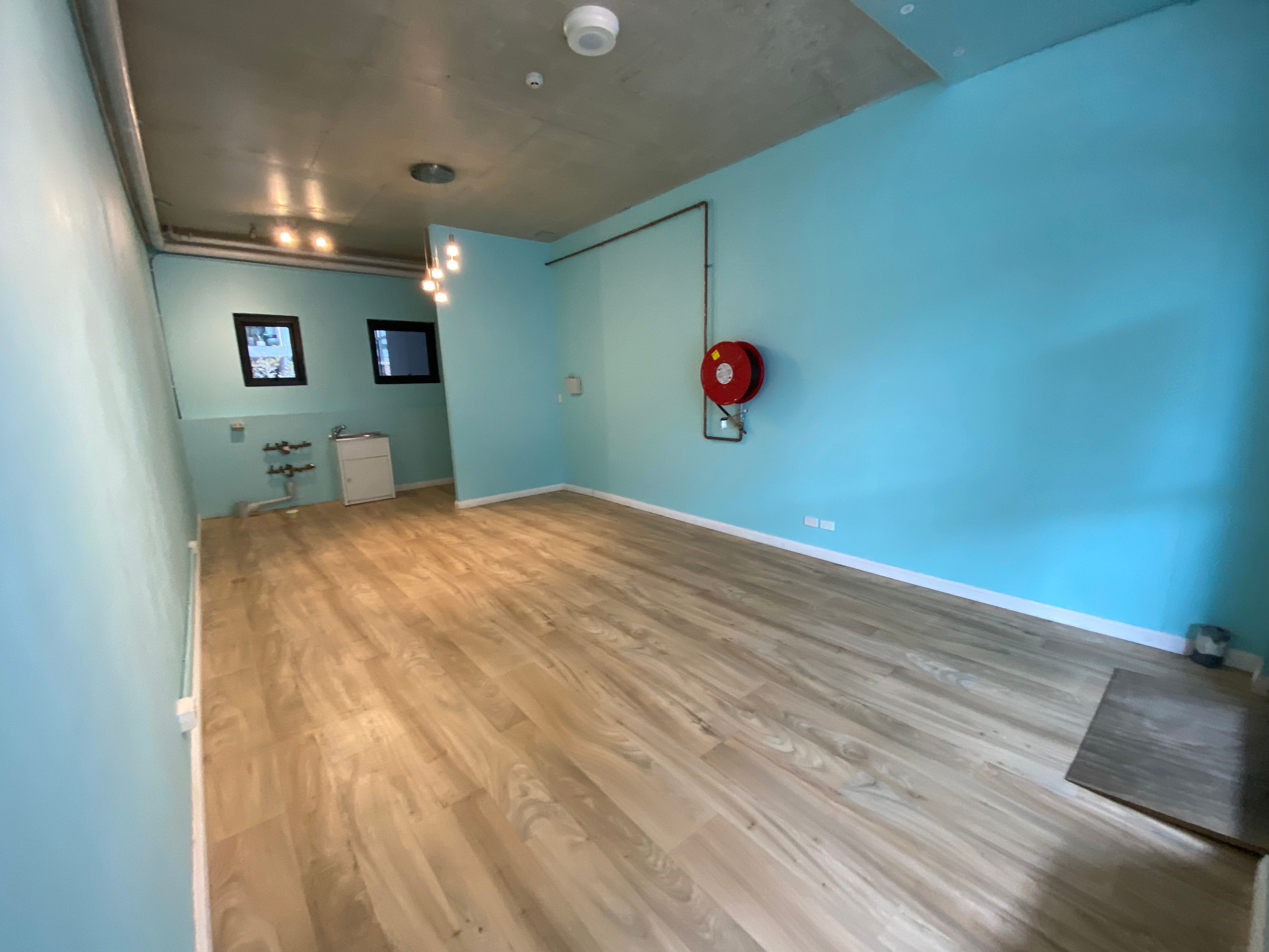 shop1/44-46 Princes Highway, ST PETERS DC, NSW 2044