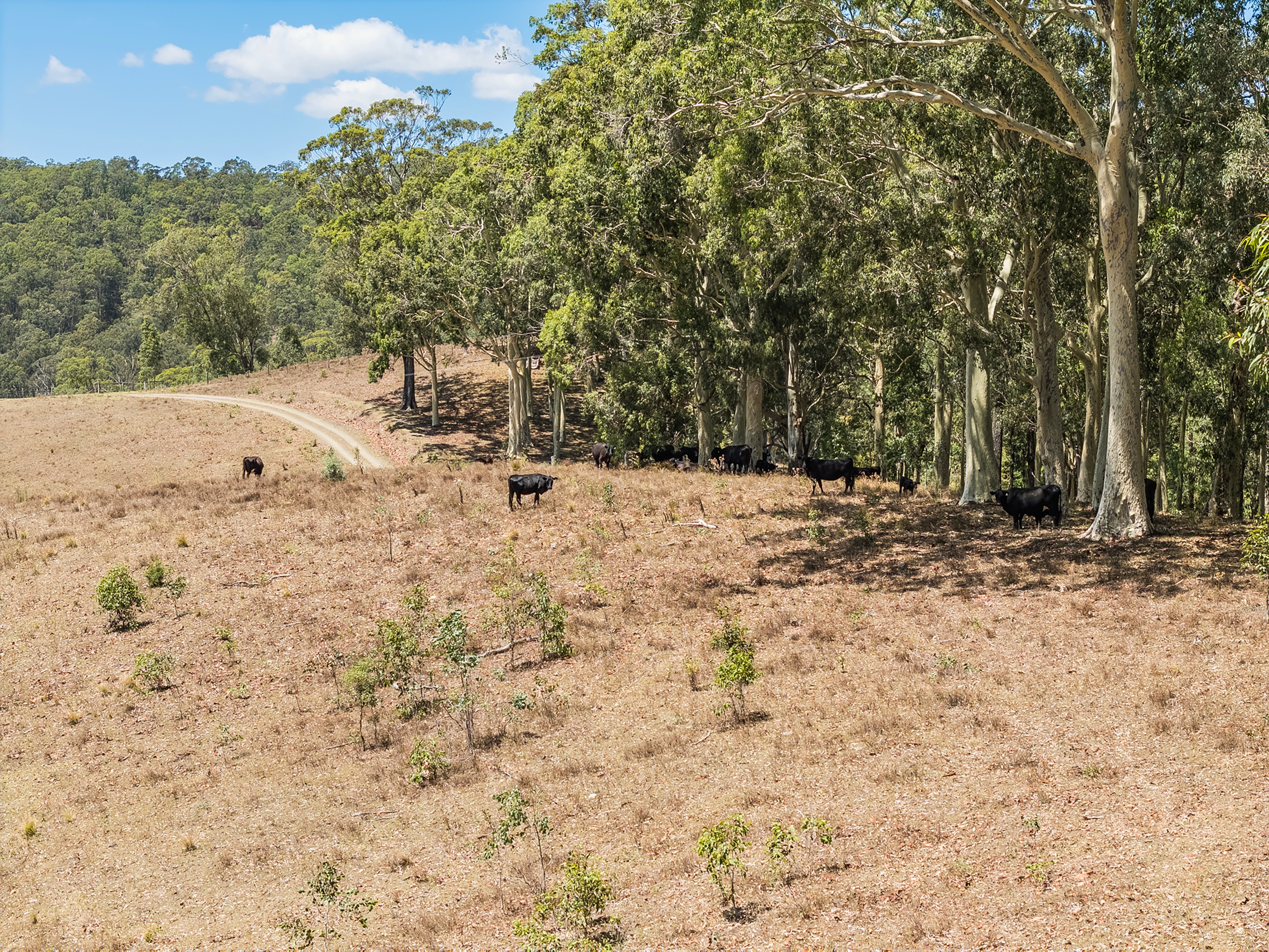 Lot 32 Black Rock Road, Martins Creek, NSW 2420
