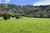 1455 Aorere Valley Road photo 13