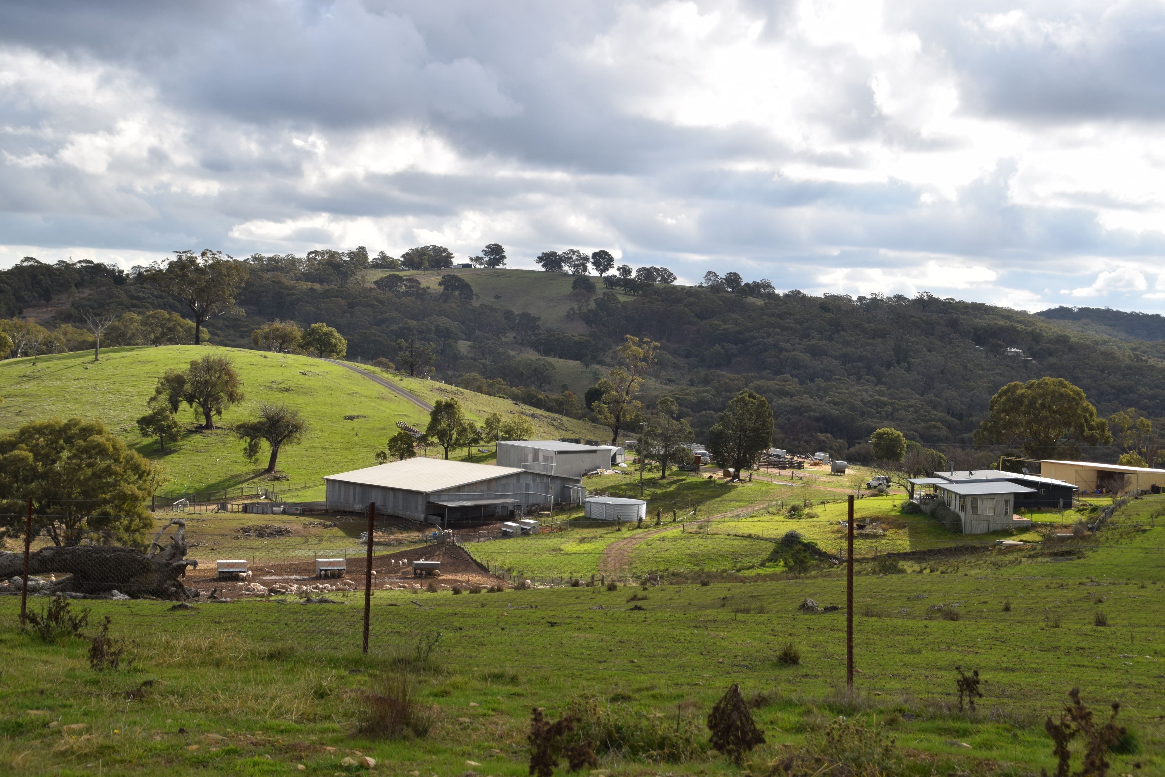 'Morella' 1257 Bundalah Road, Euchareena, NSW 2866