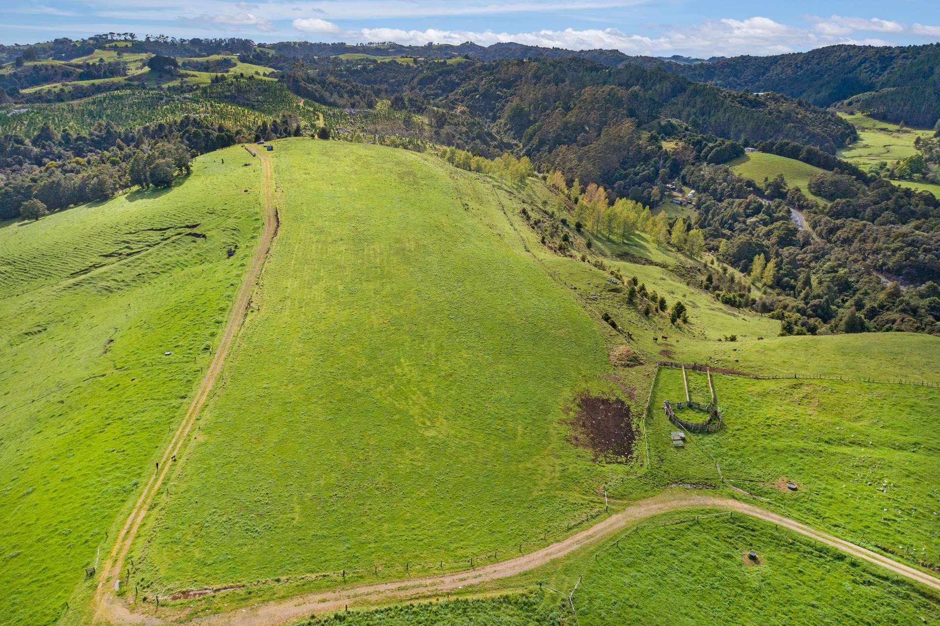 0 Russell Road Airstrip Block photo 15