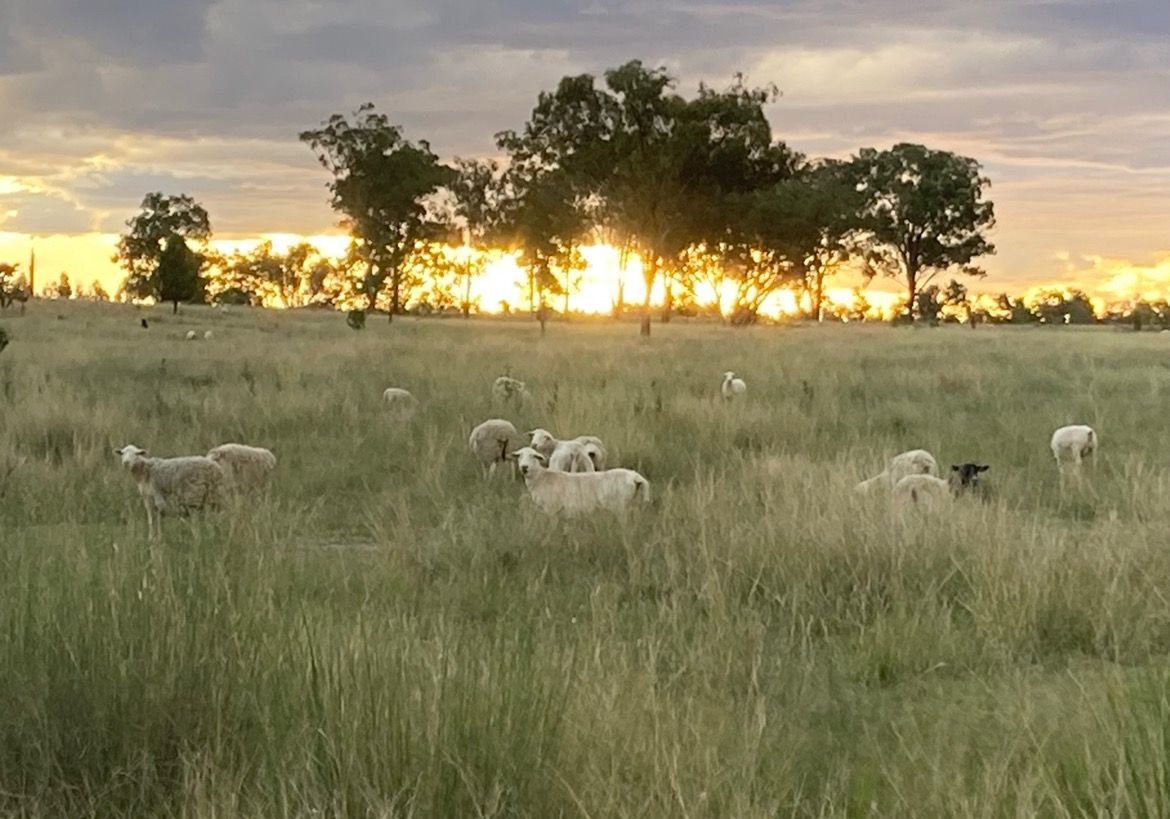 274 Homebush Road, GREENUP, QLD 4387