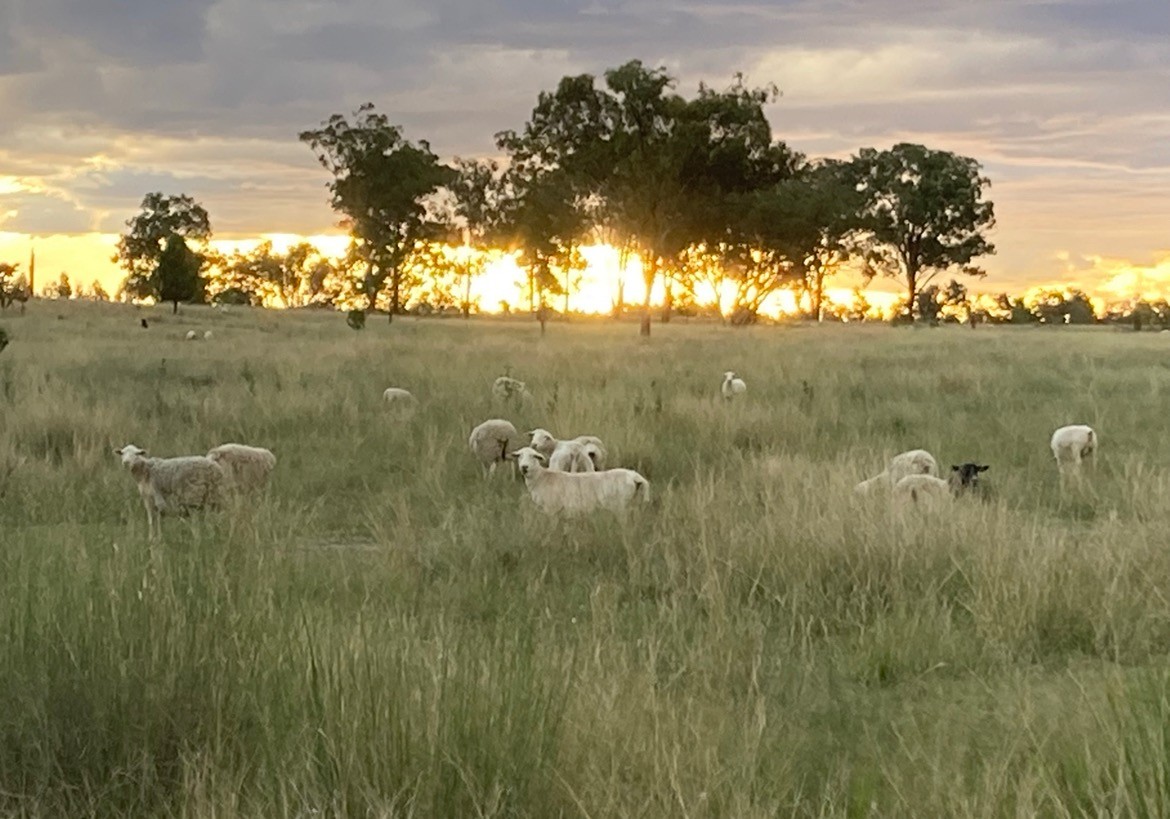 274 Homebush Road, GREENUP, QLD 4387