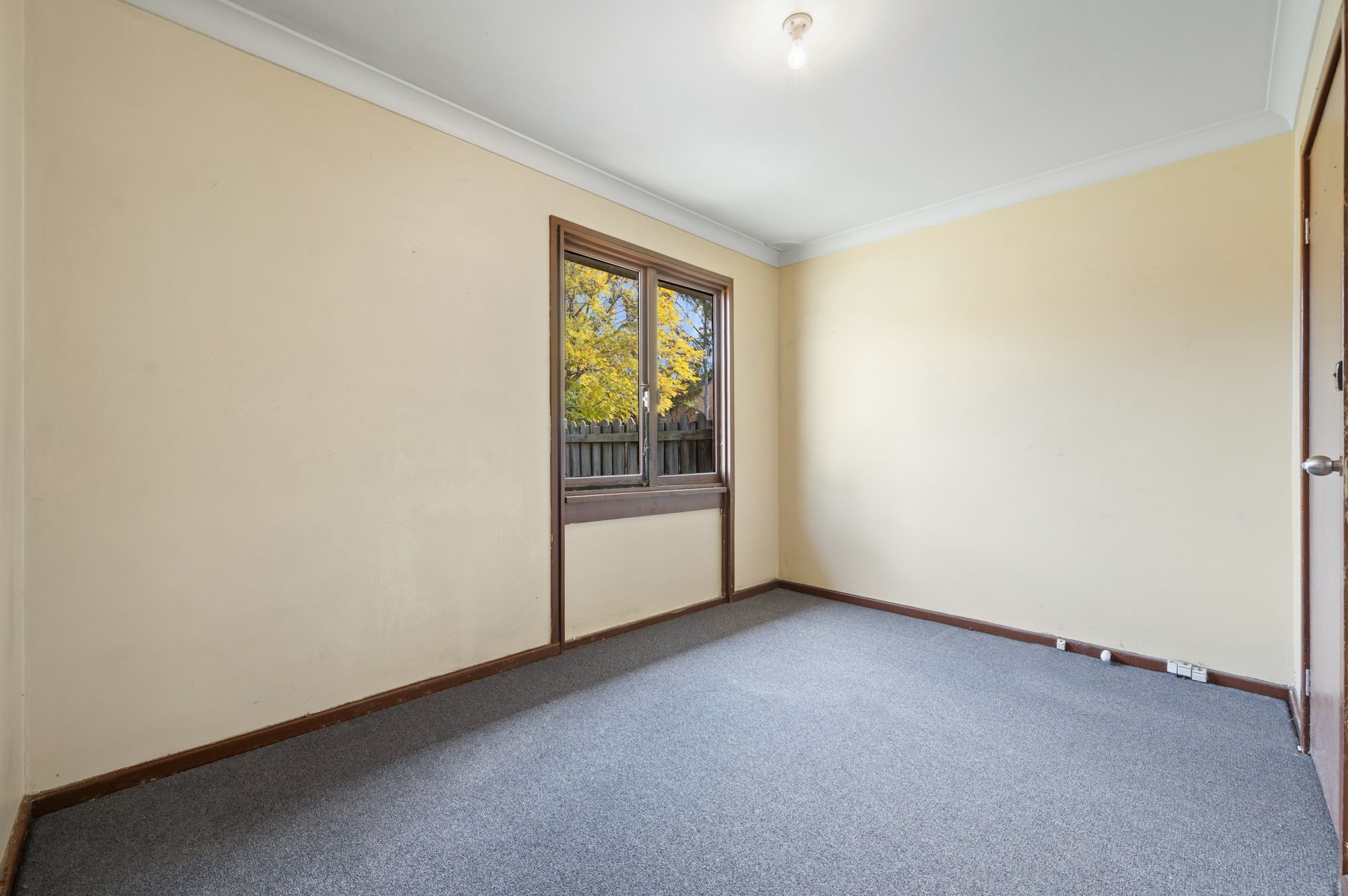 28 Docharty Street — photo 8 of 12