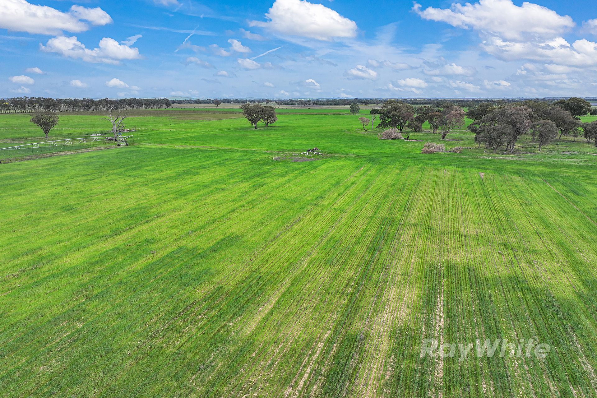 _ Morrissey Road, Girgarre, VIC 3624 Rural Cropping Property for Sale