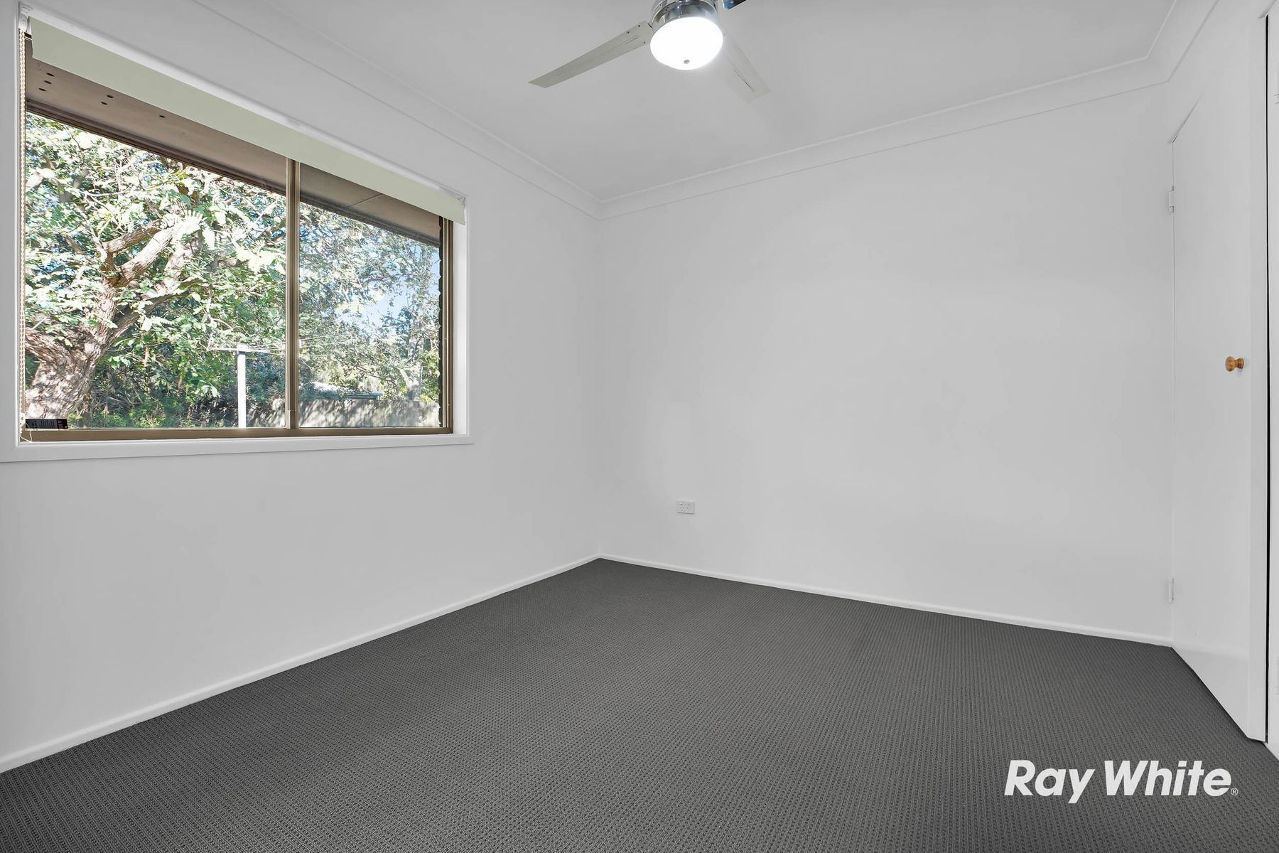 2/52 Naomai Street — photo 5 of 11
