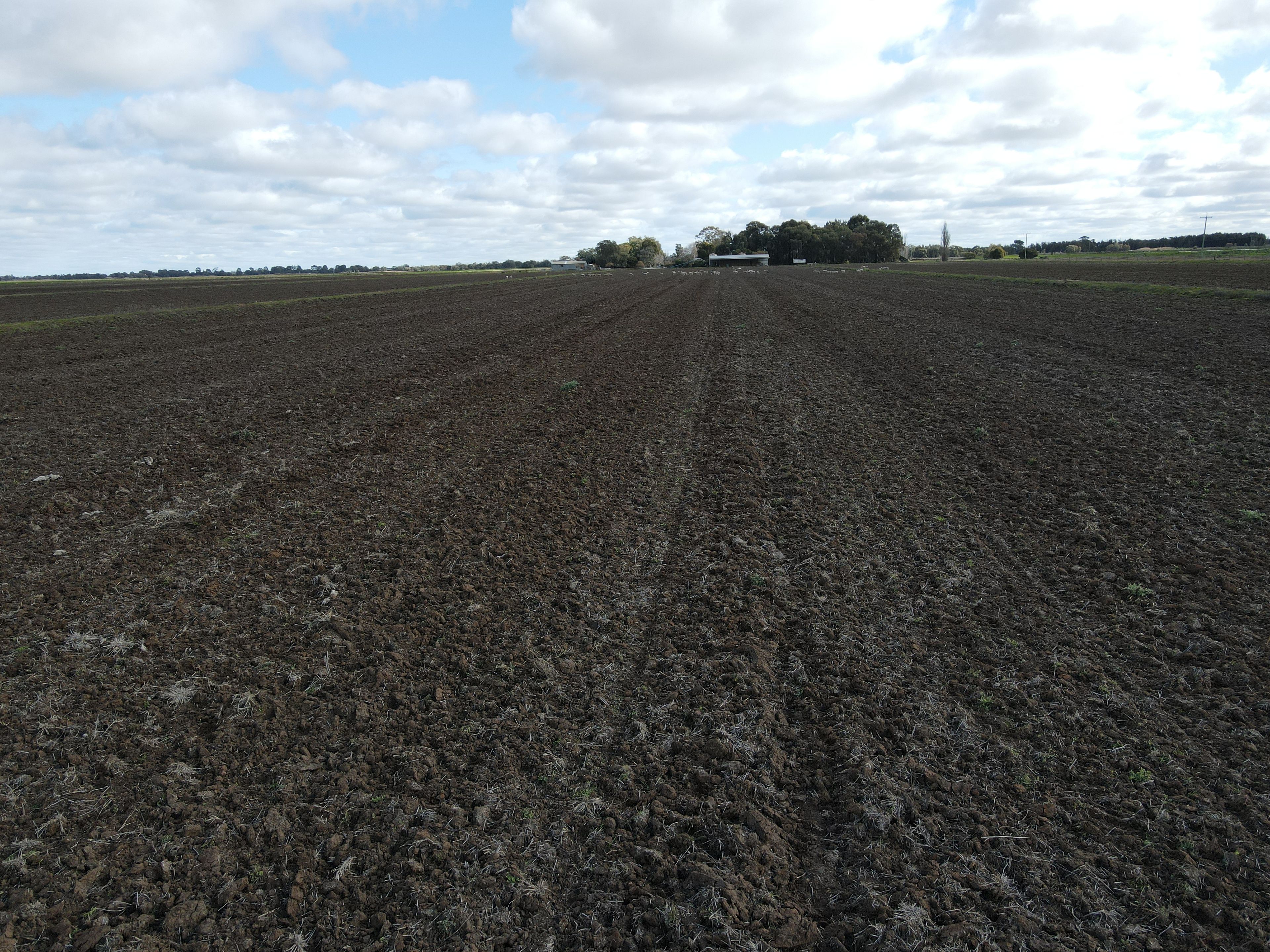 ( Davit Farm ) Cashmere Road — photo 12 of 17
