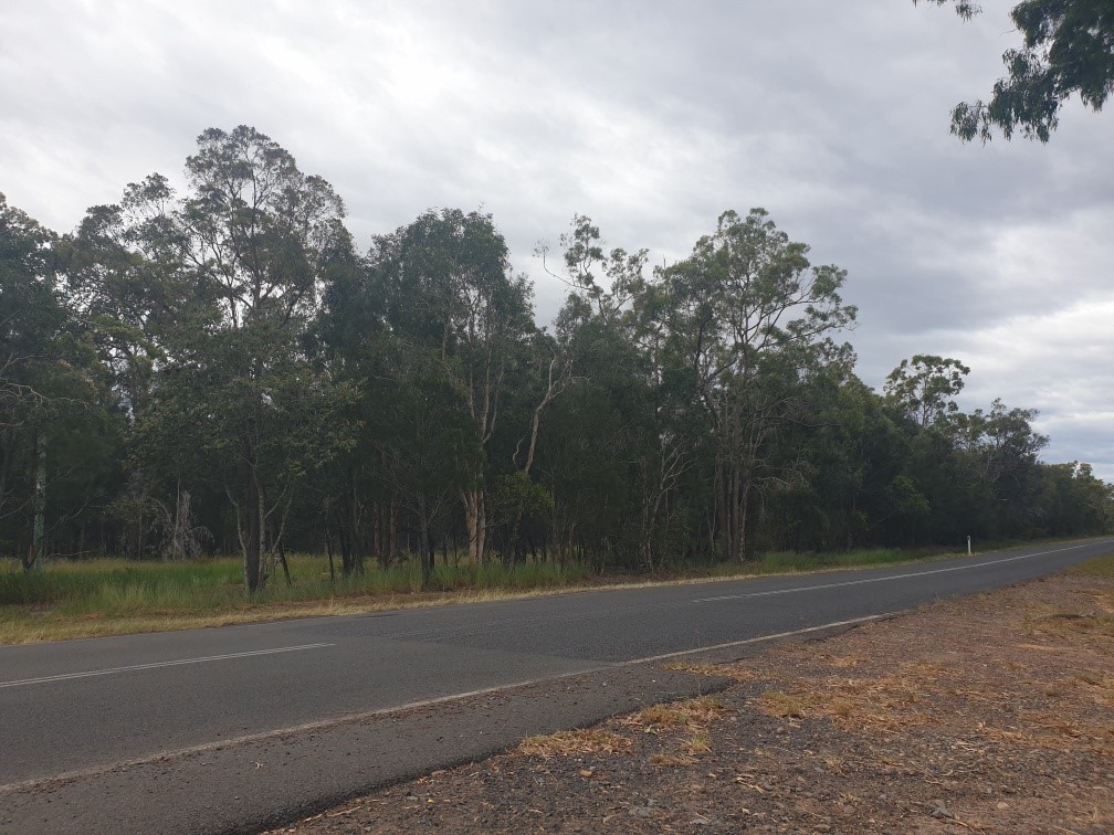 Lot 7 Buxton Road, Buxton, QLD 4660