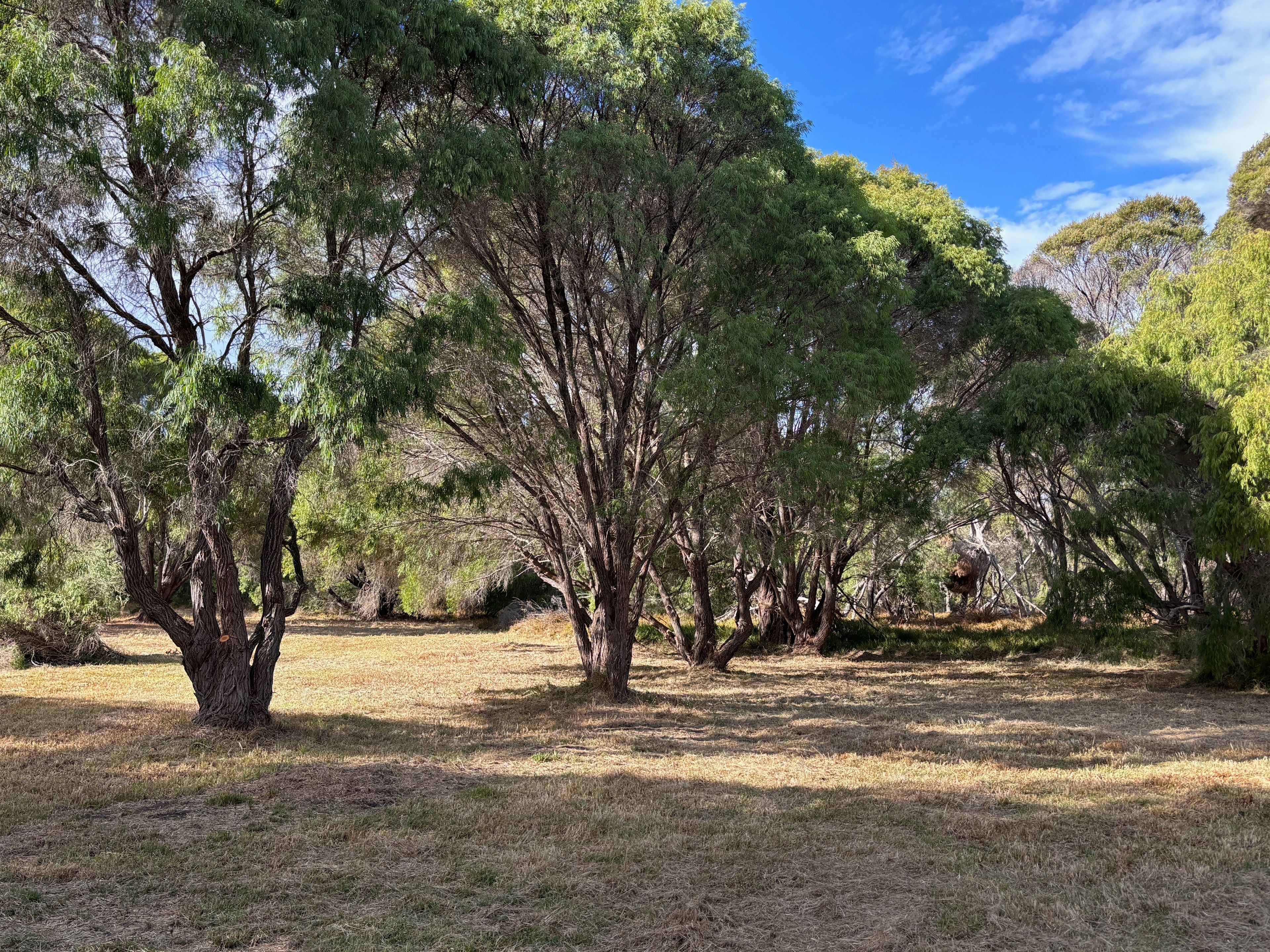 9569 (PL 582) Caves Road, Hamelin Bay, WA 6288 Rural Lifestyle Property for Sale Ray White