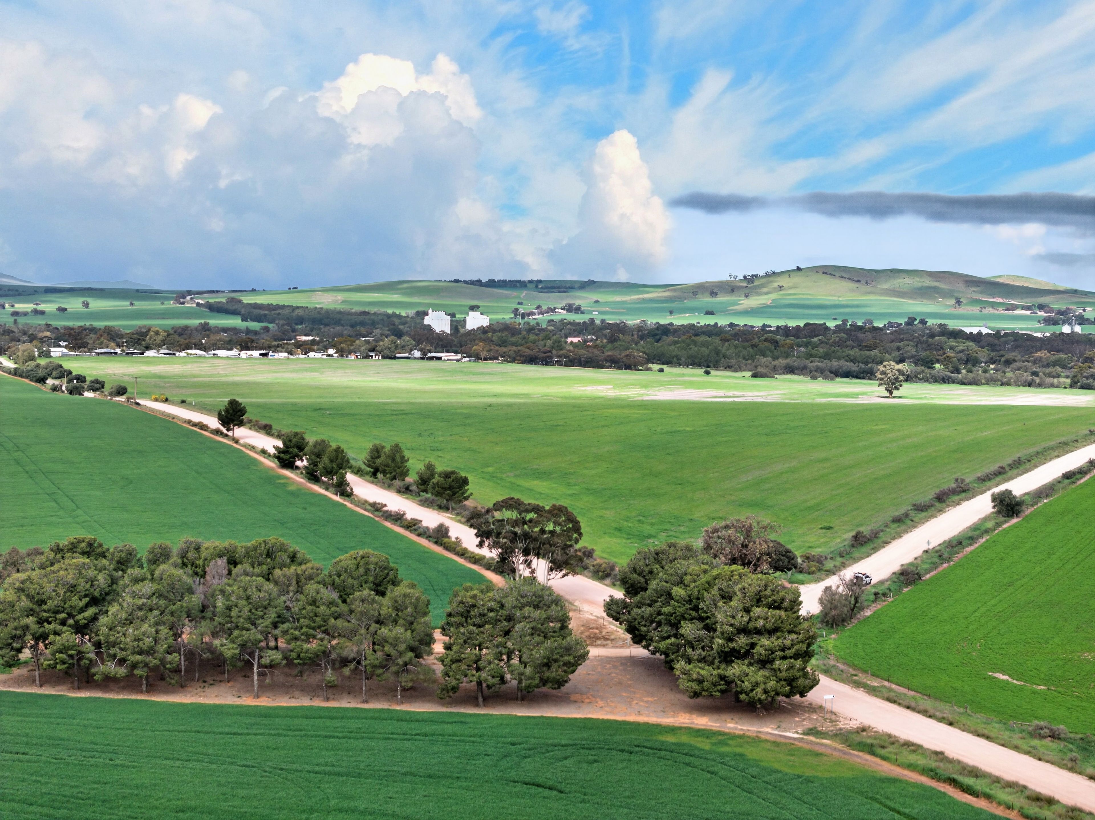 'Molino' Black Road — photo from Ray White Rural South Australia