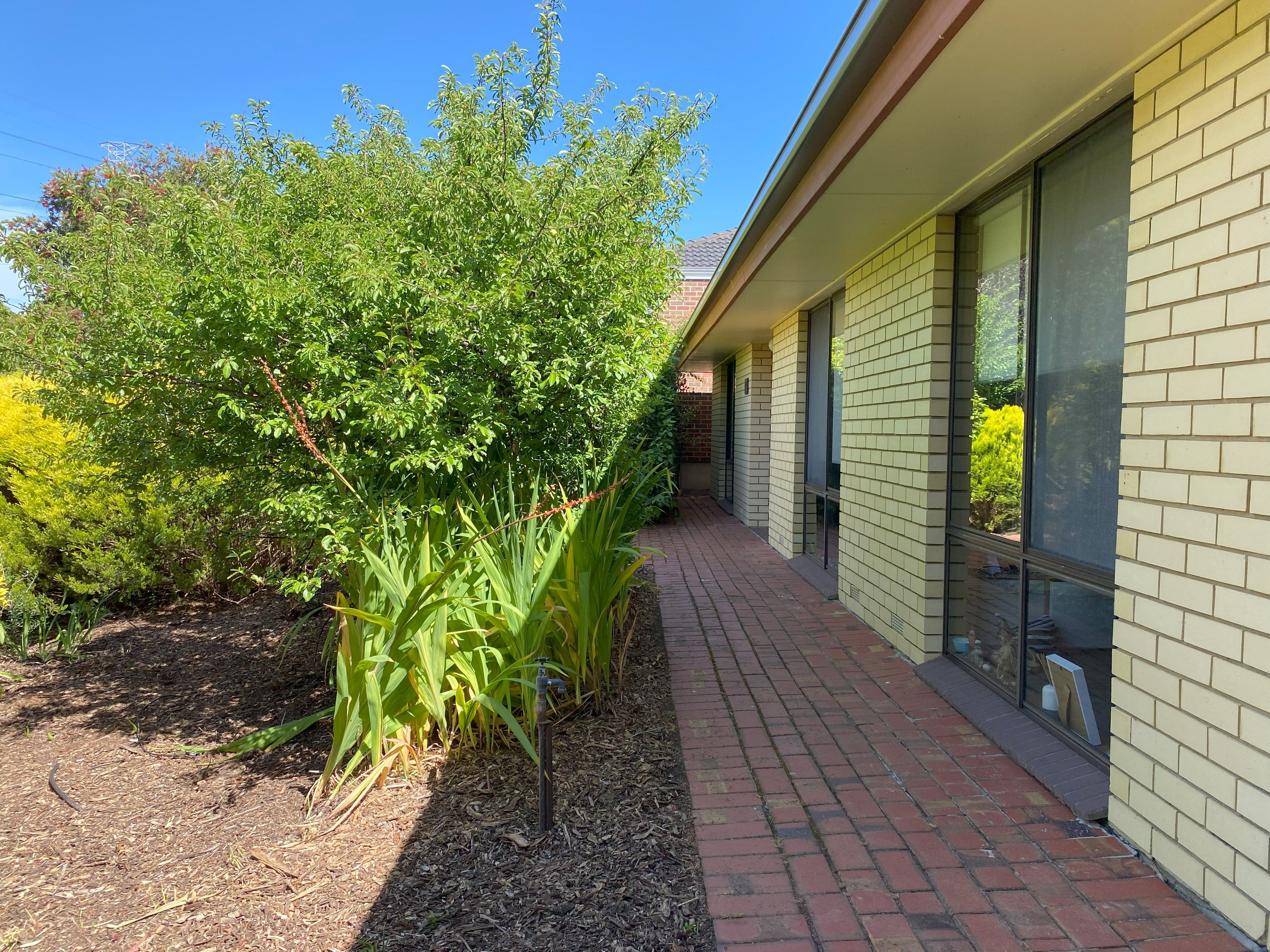 17 Torresan Crescent, Flagstaff Hill, SA 5159