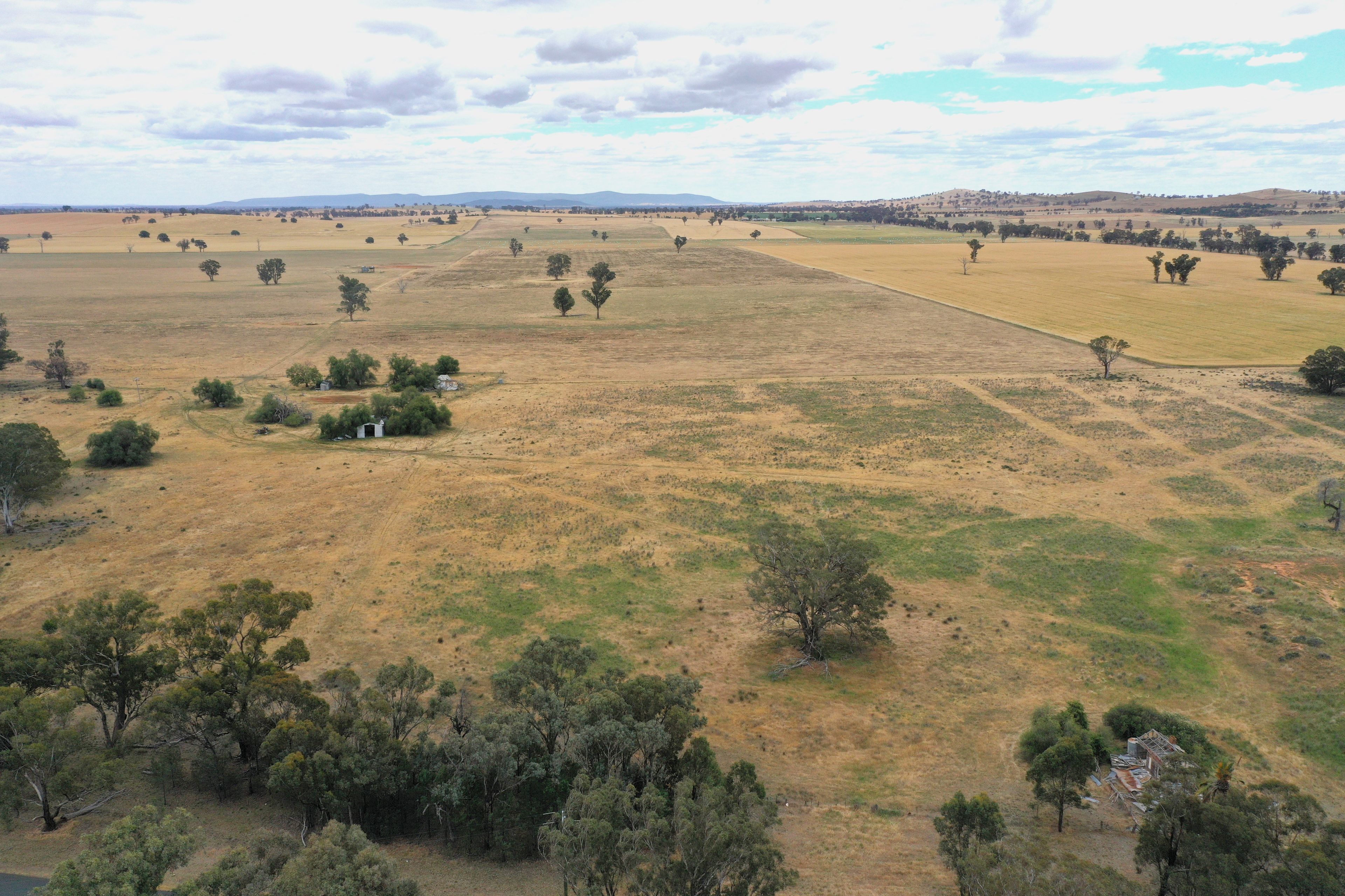 1674 Tubbul Road, Tubbul Via , Young NSW 2594
