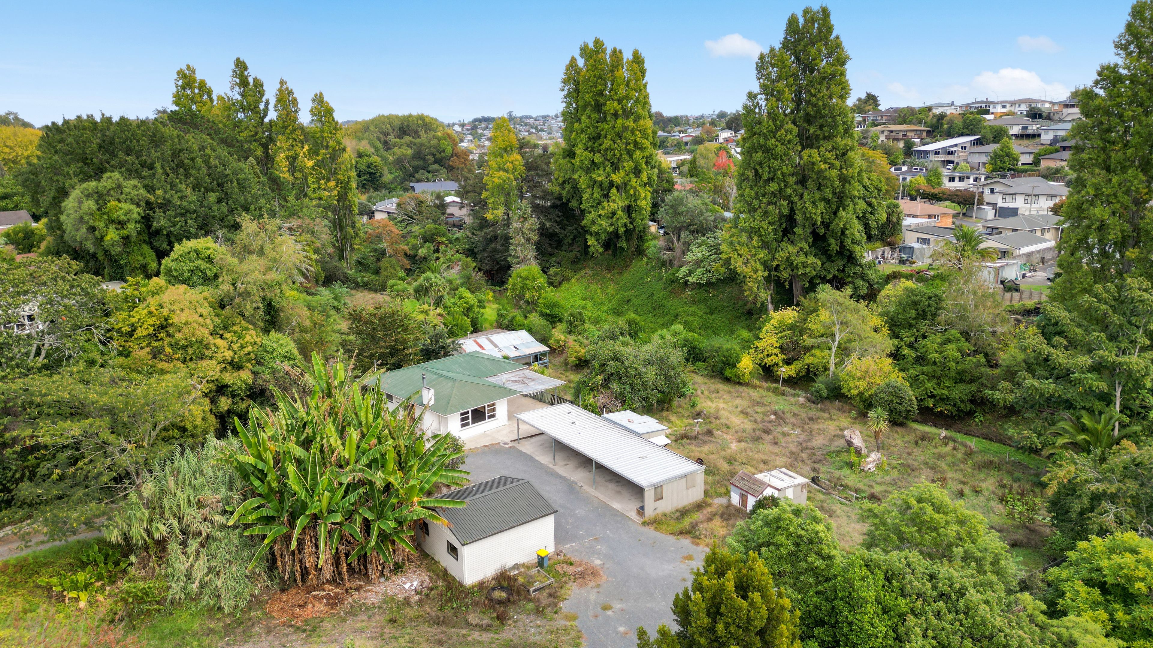 33 Frederick Drive, Dinsdale, Hamilton City