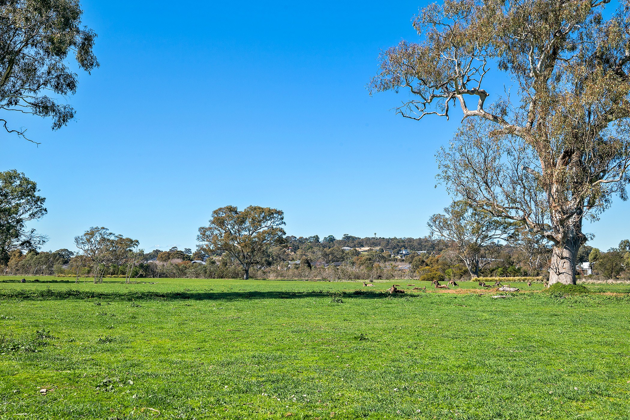 31 Moonstone Street, Doreen, VIC 3754