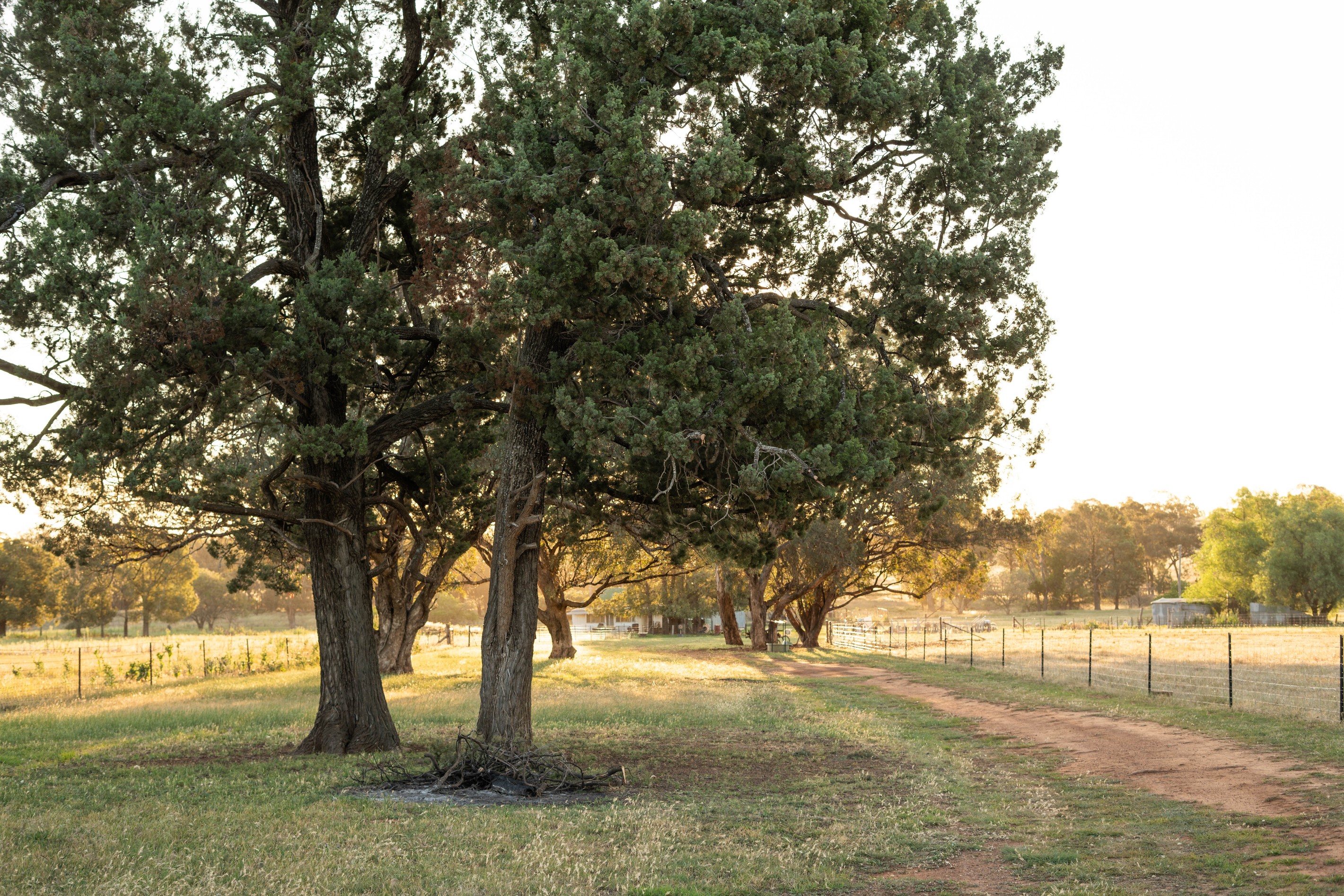 Newell Highway, Alectown, NSW 2870