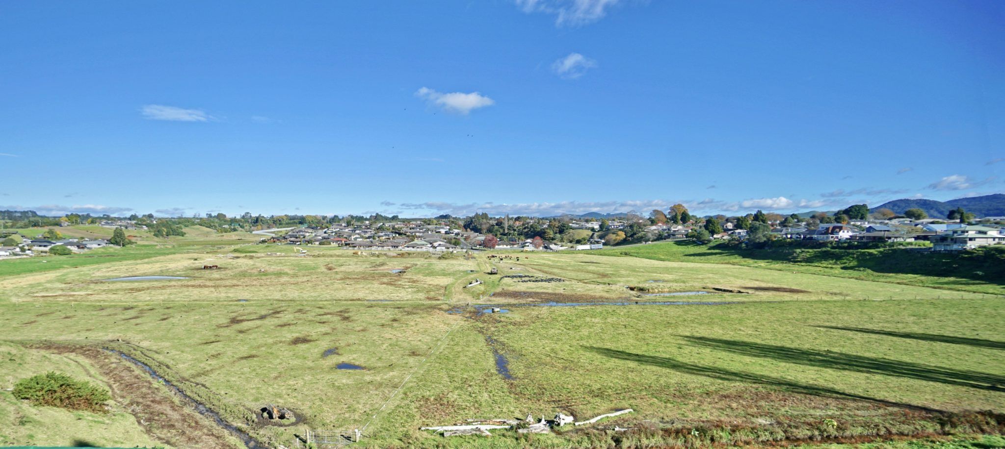 11a Jellicoe Street, Te Puke, Western Bay Of Plenty District