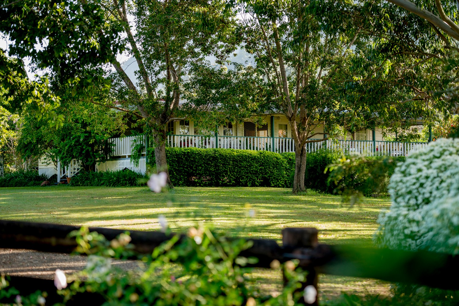 40 Traves Road, Sandy Creek, QLD 4515