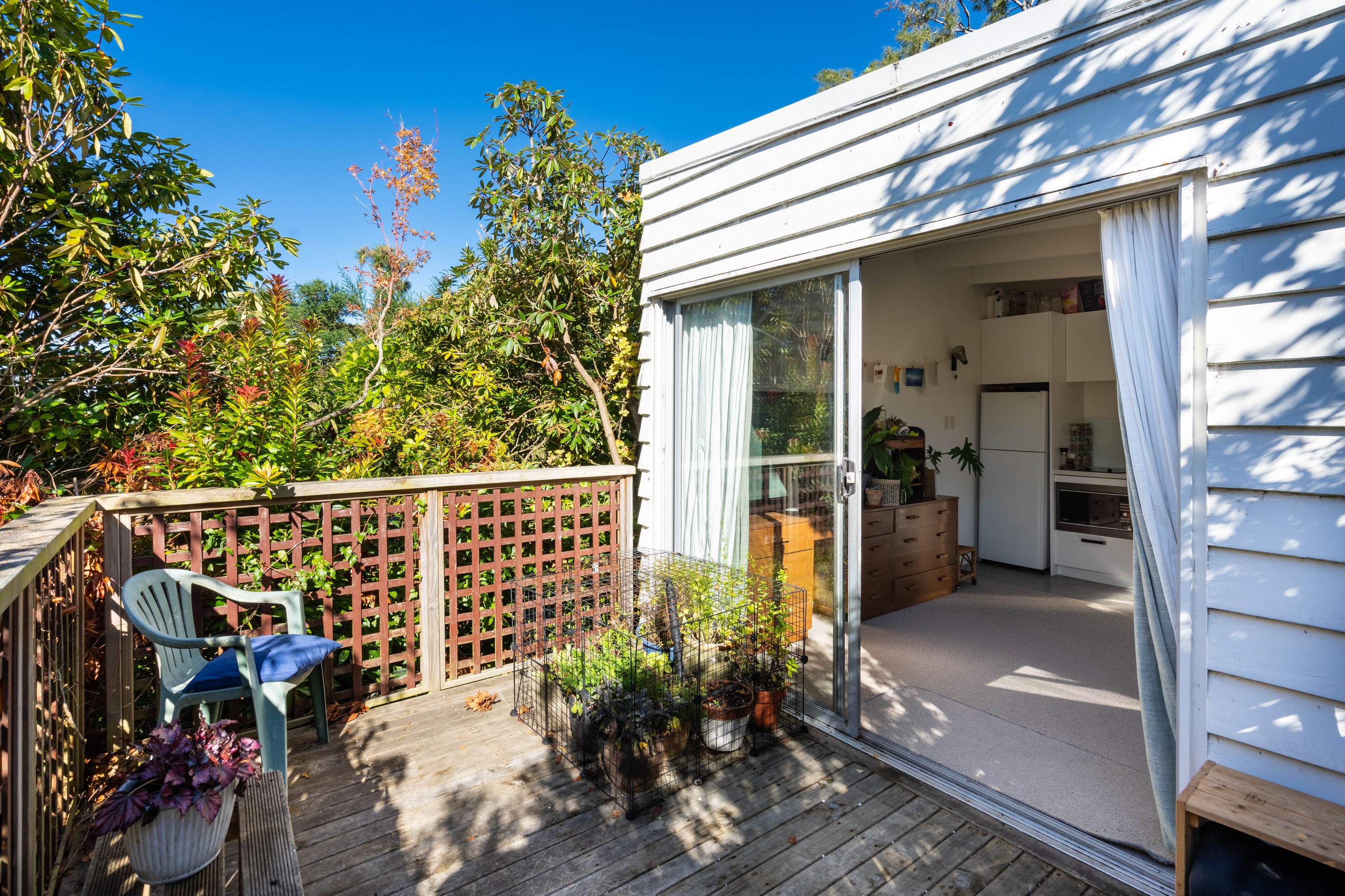 59 Braeview Crescent, Maori Hill, Dunedin City