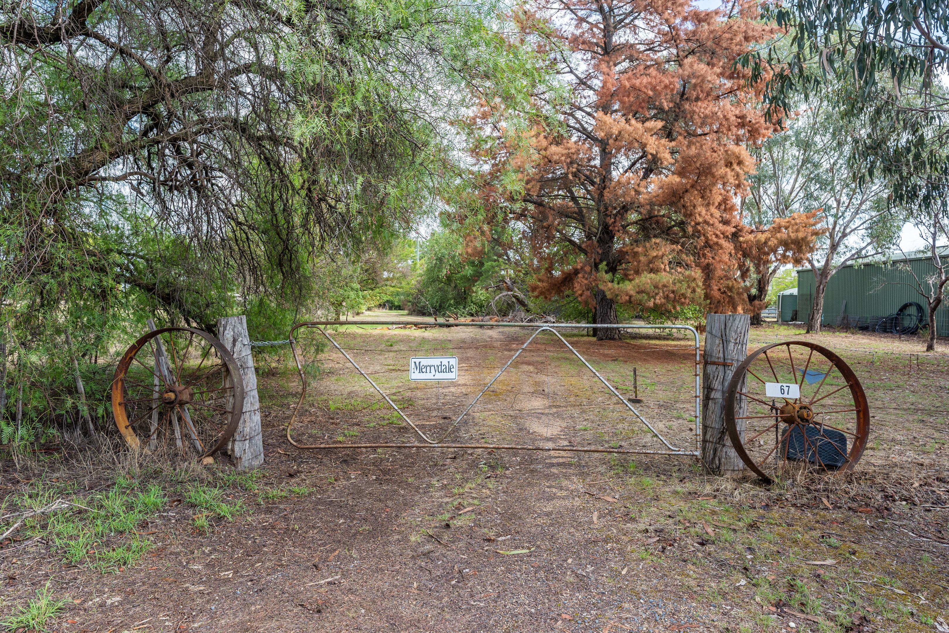 67 Chinatown Lane, Walla Walla, NSW 2659