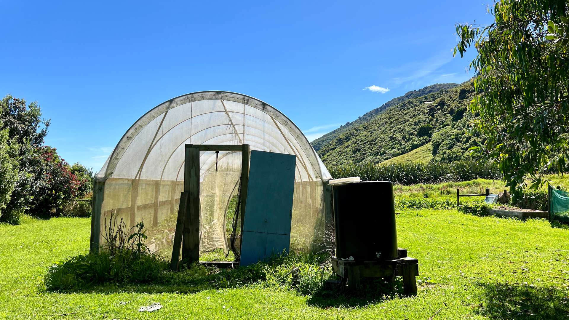 37 Nikau Road, State Highway 67 photo 8