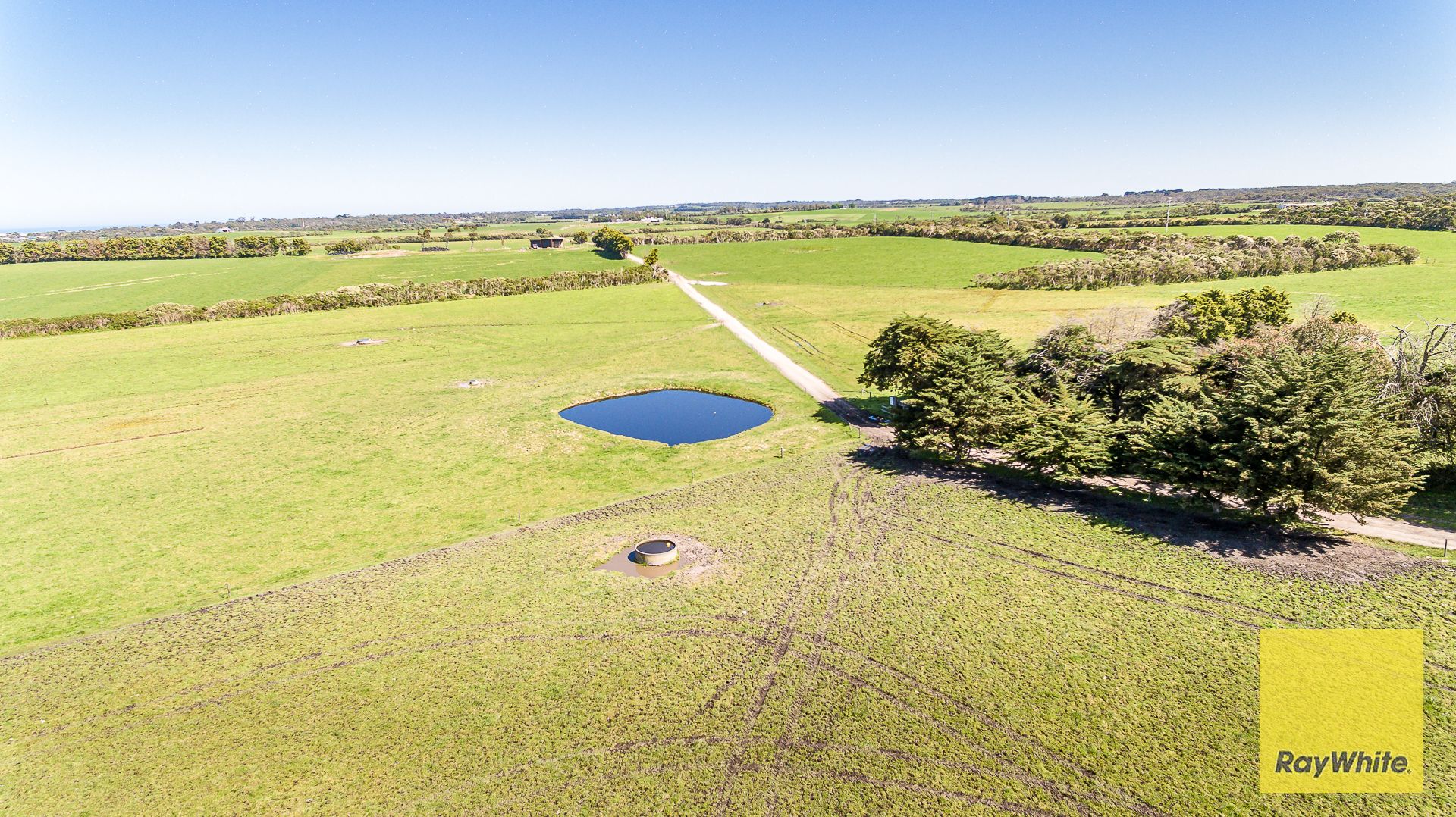 Outstanding Dairy Opportunity — photo 8 of 30