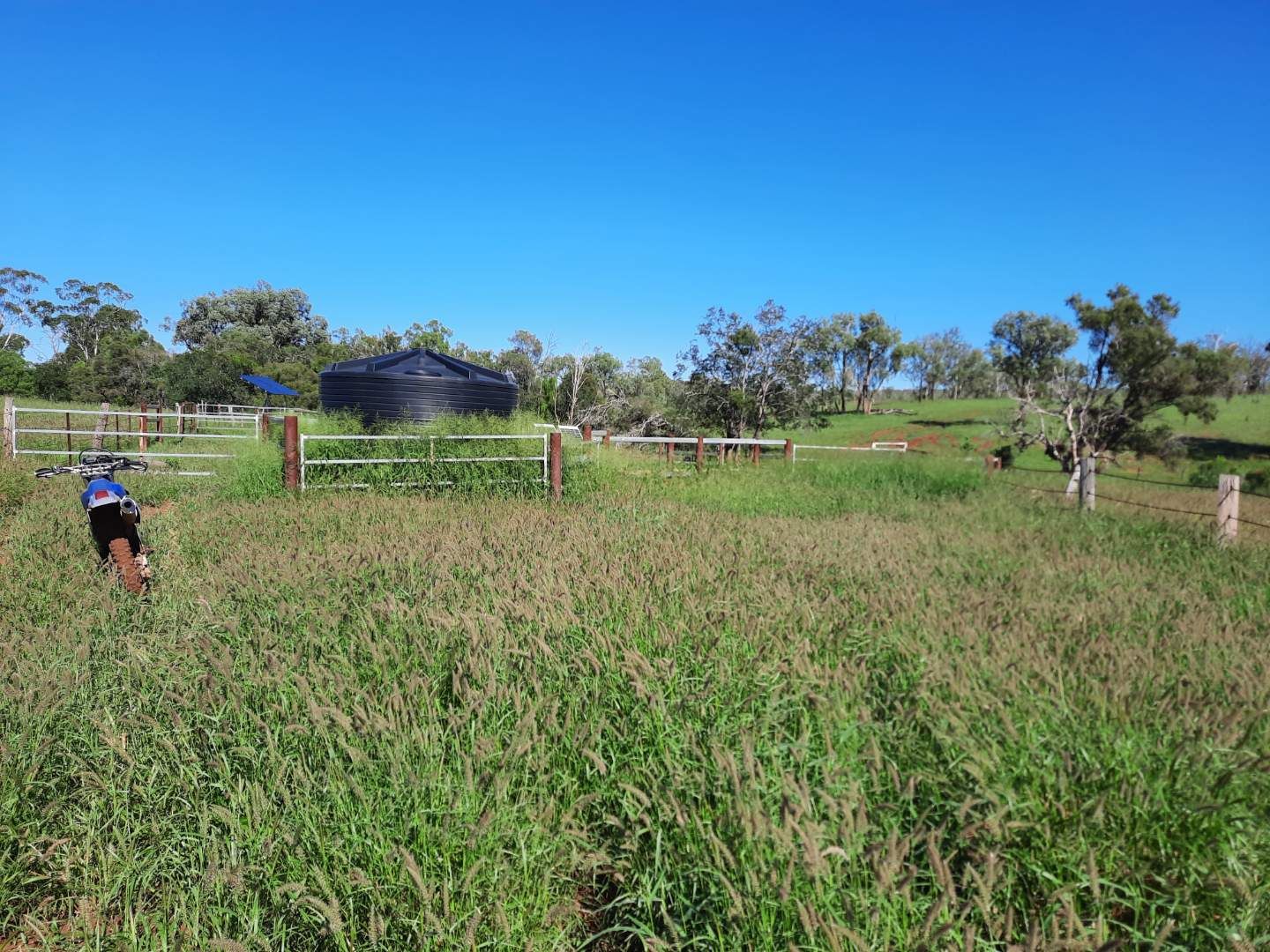 200 Lucy's Road, Goovigen, QLD 4702 Sold Rural Mixed Farming Property