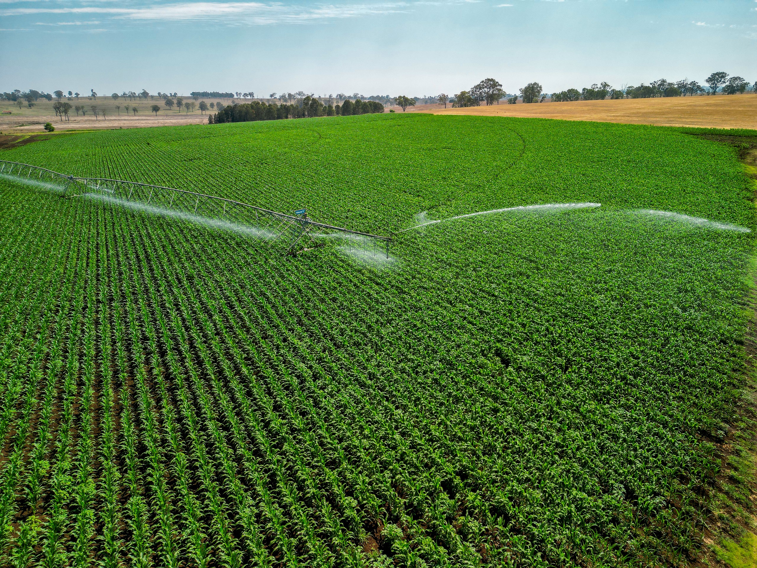 128 Macfarlane Road, Munbilla, QLD 4309