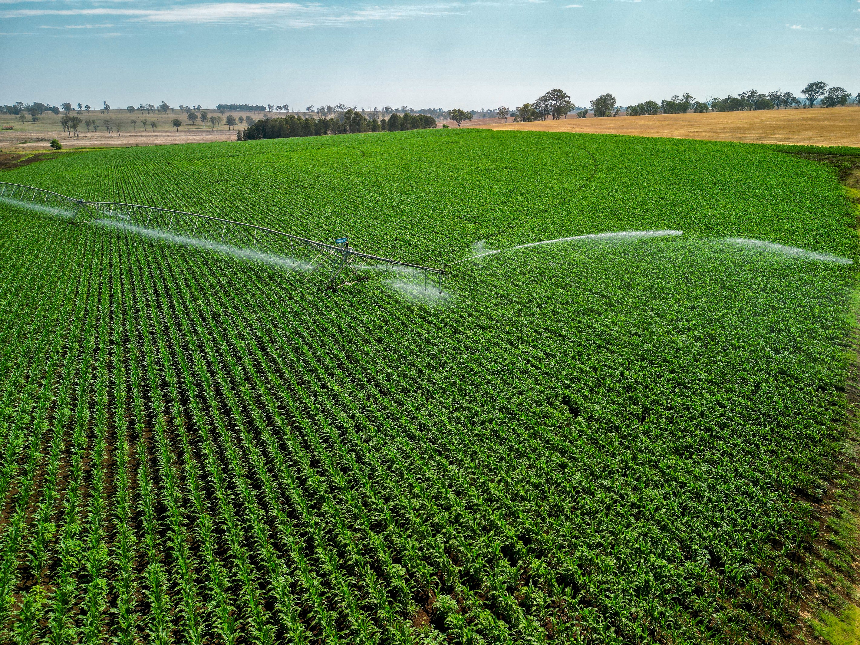 128 Macfarlane Road, Munbilla, QLD 4309