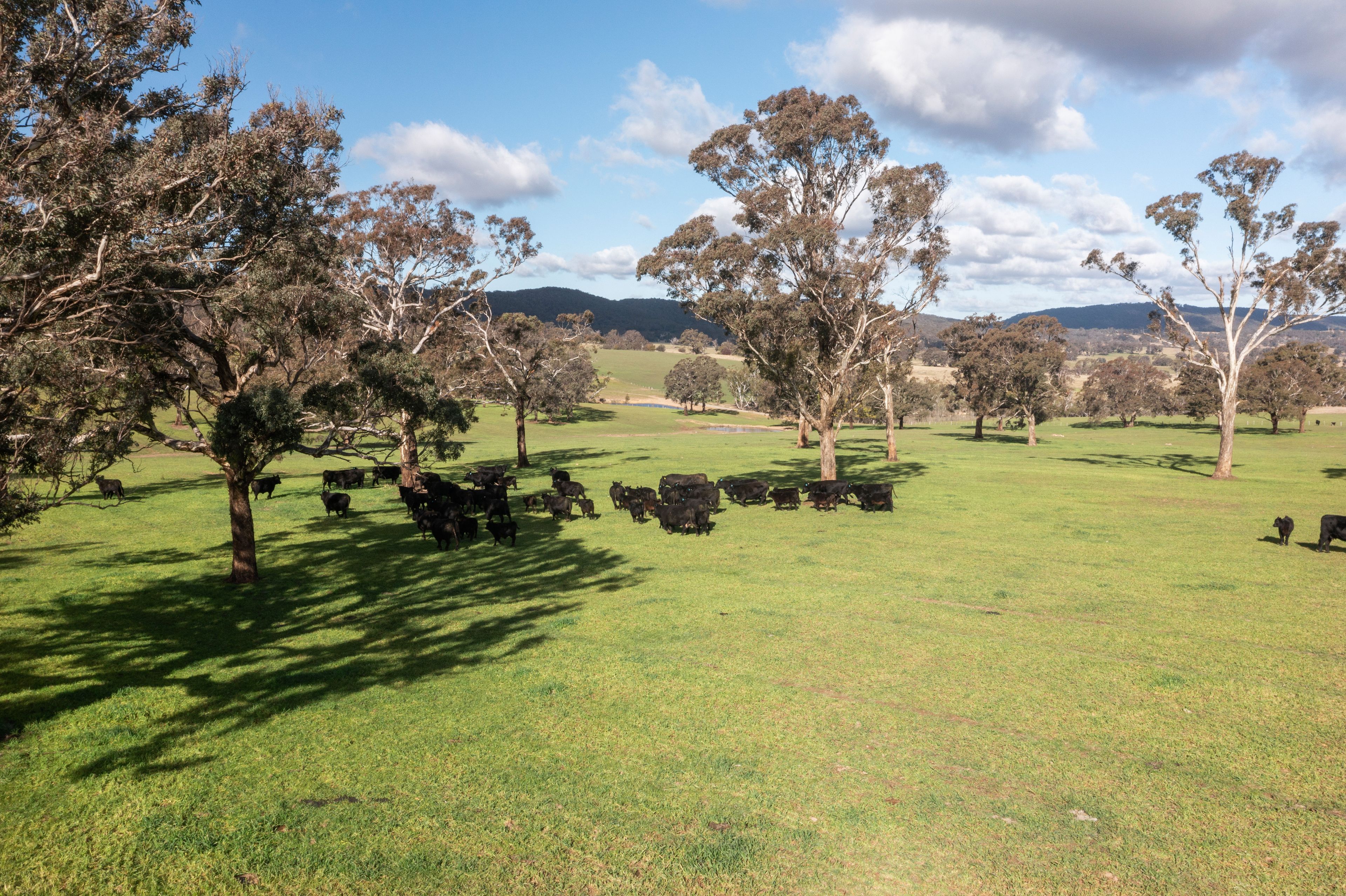 1054 Middle Arm Road, Goulburn NSW 2580