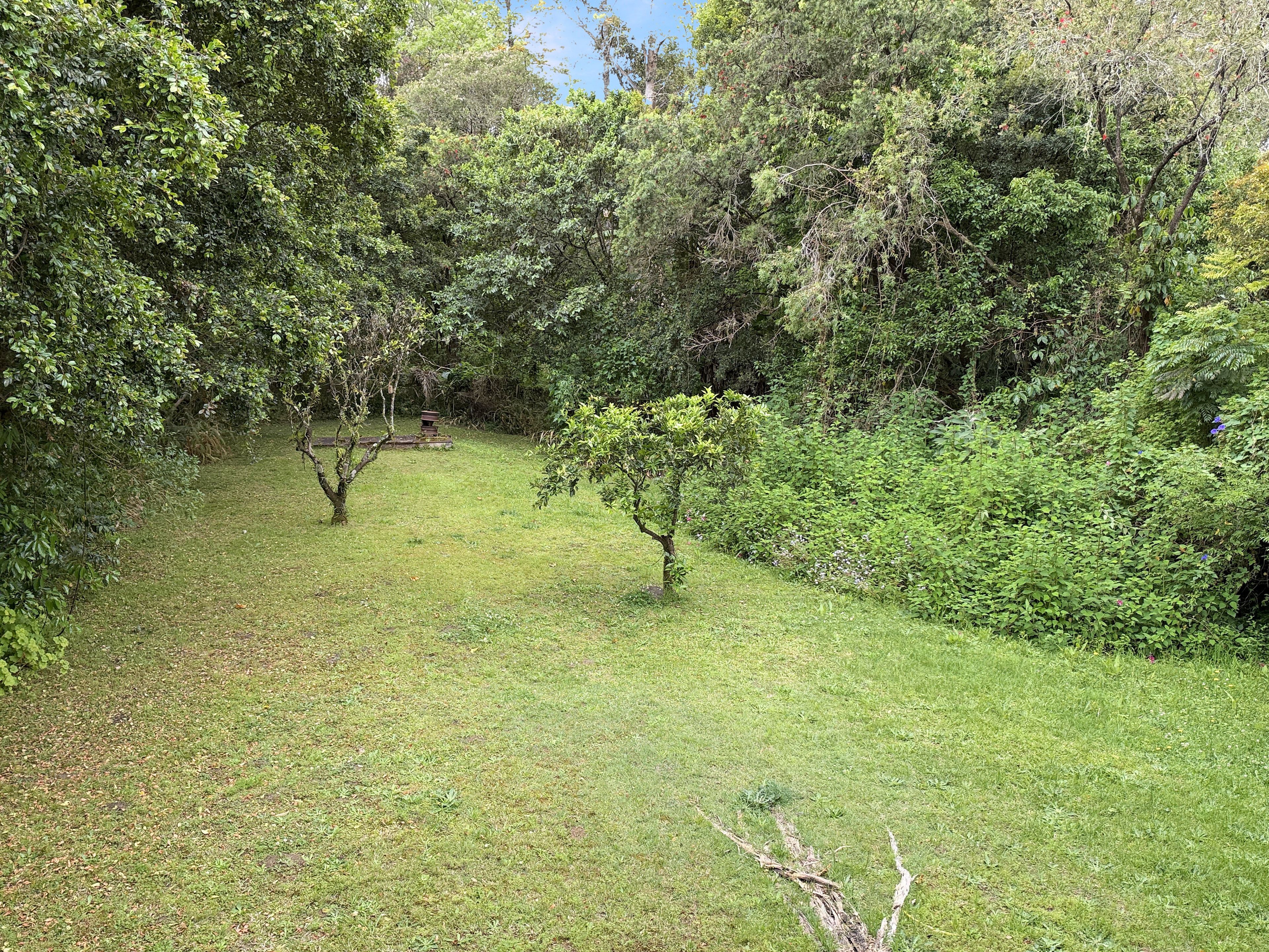 4 Cecil Street — photo 12 of 13