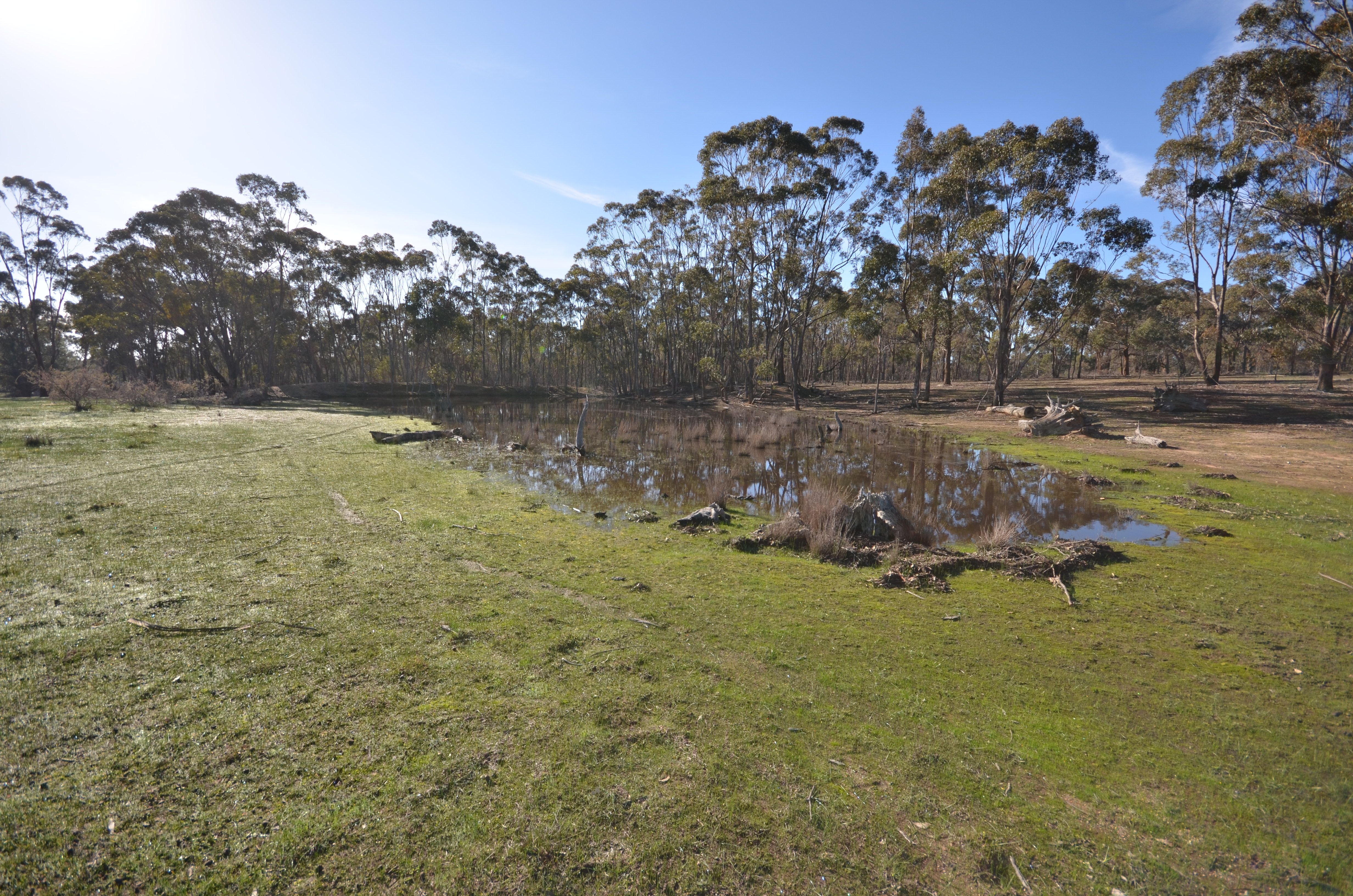 Lots 1 & 2 Lillicur West Road, Lamplough, VIC 3352