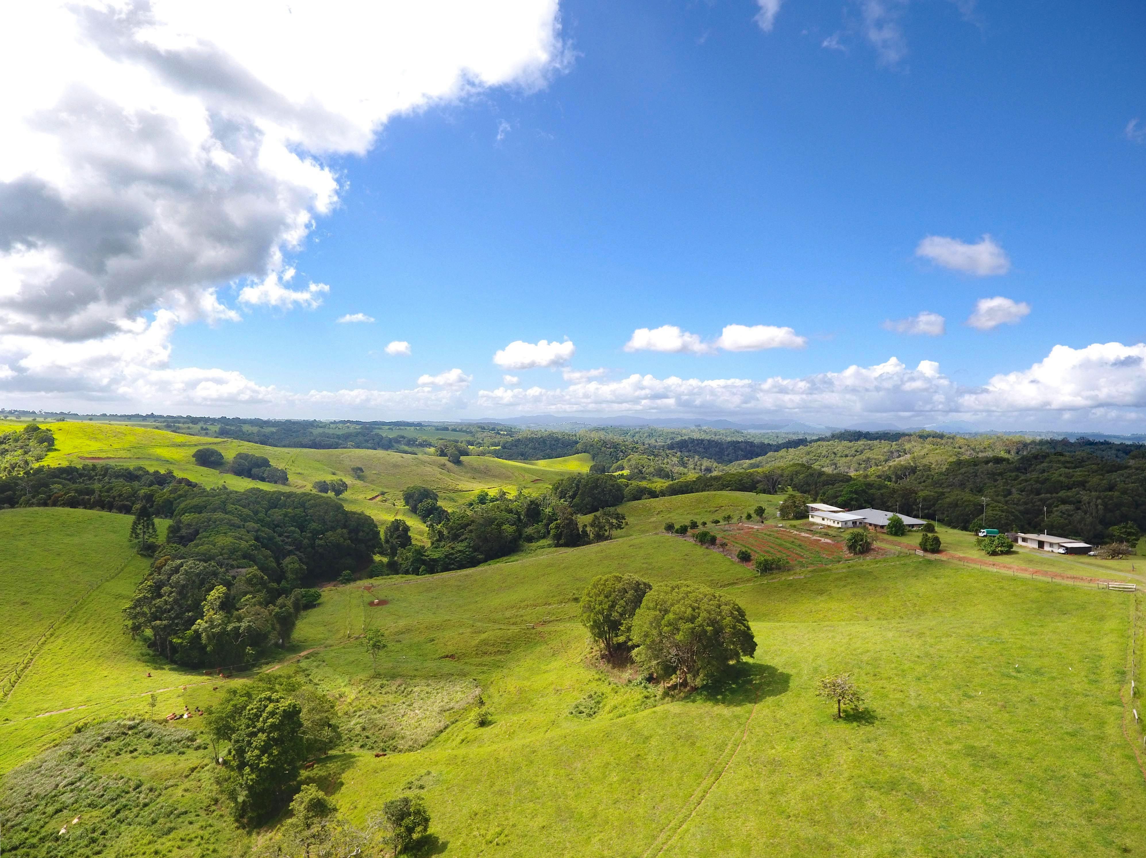 343 Gadaloff Road, Butchers Creek, QLD 4885