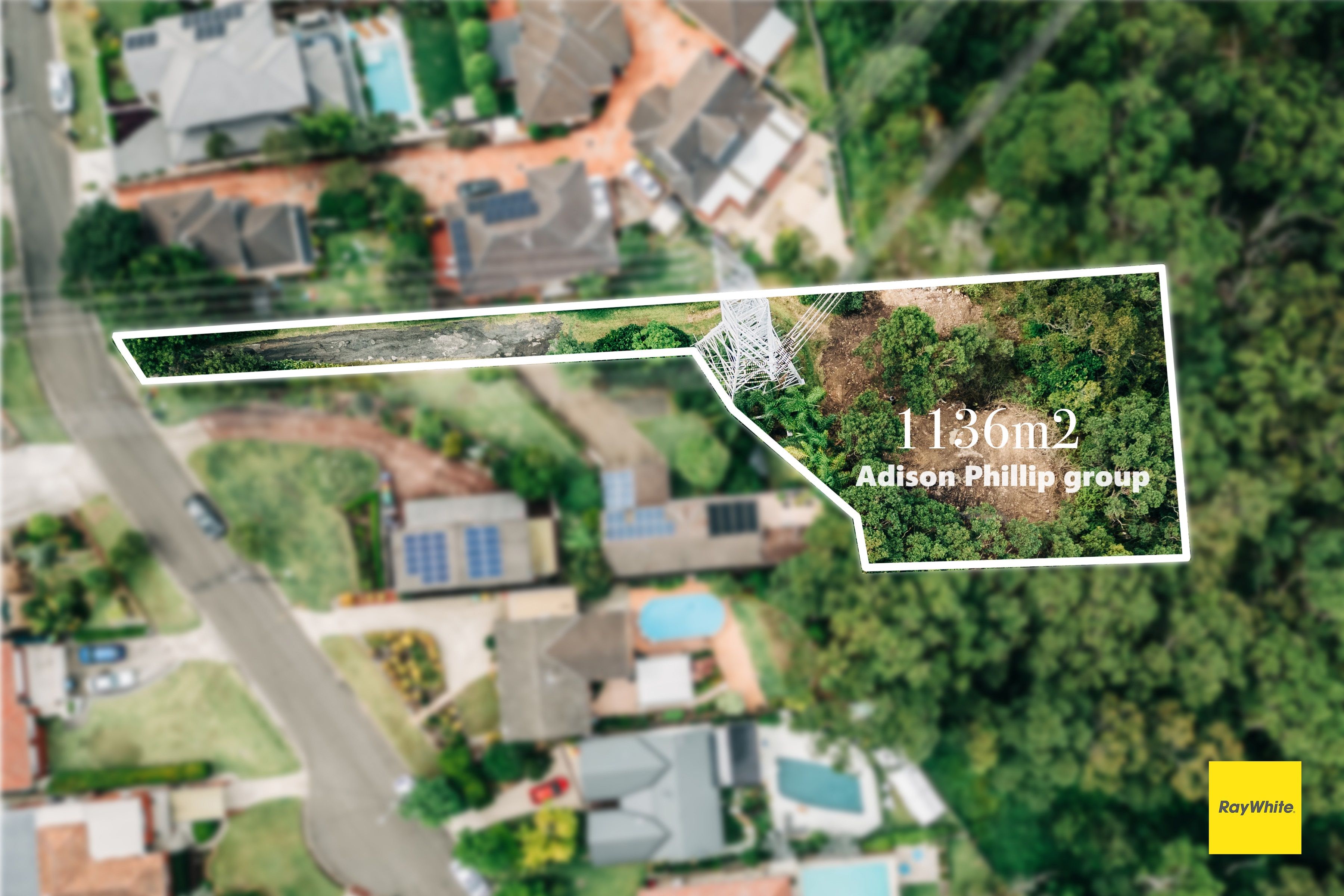 44 Taffs Avenue, Lugarno, NSW 2210 Home for Sale Ray White Riverwood