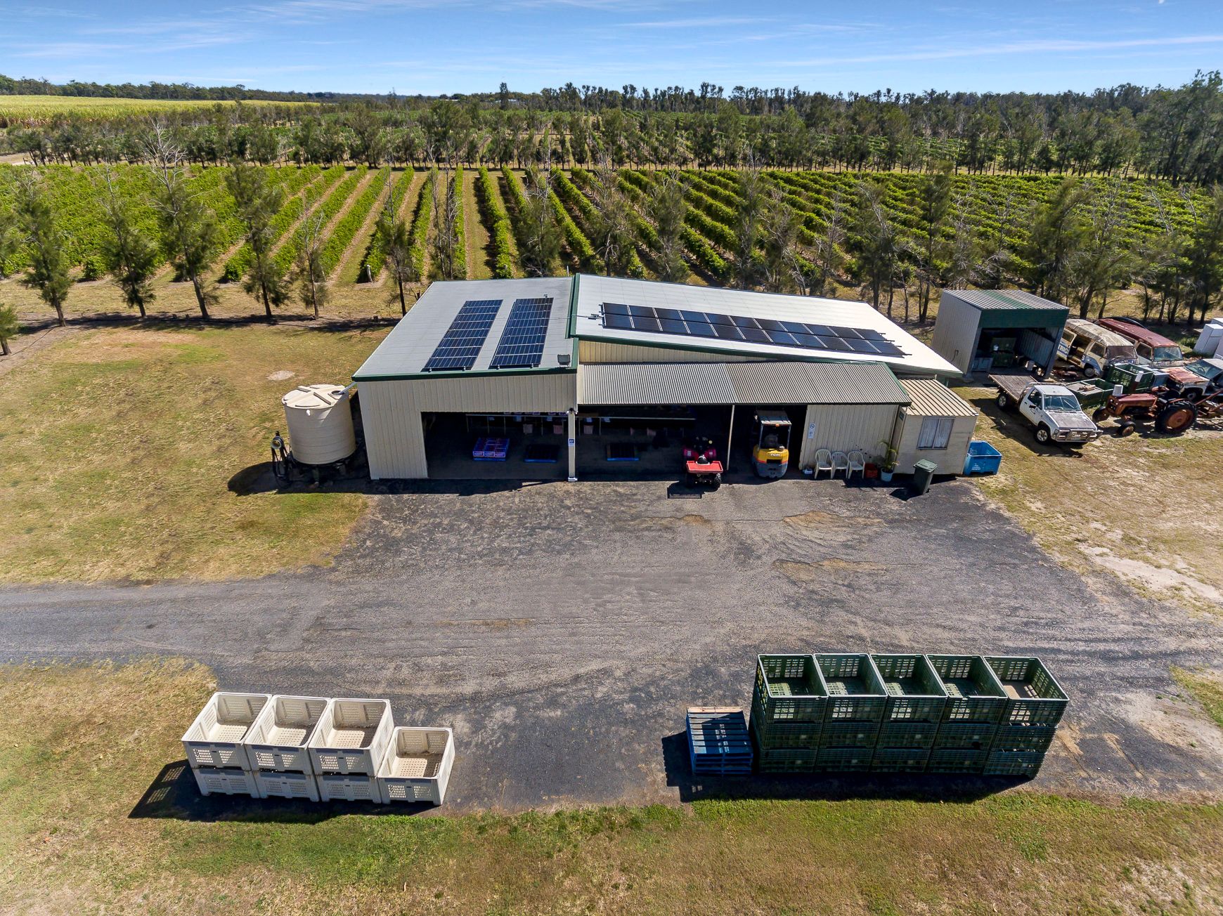 145 Quinns Road, Moorland, QLD 4670 Rural Cropping Property for Sale