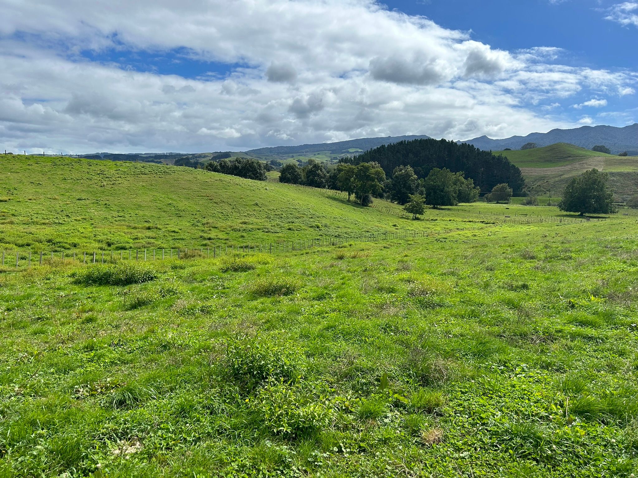 70 Kiwi Road, Pirongia, Waipa District