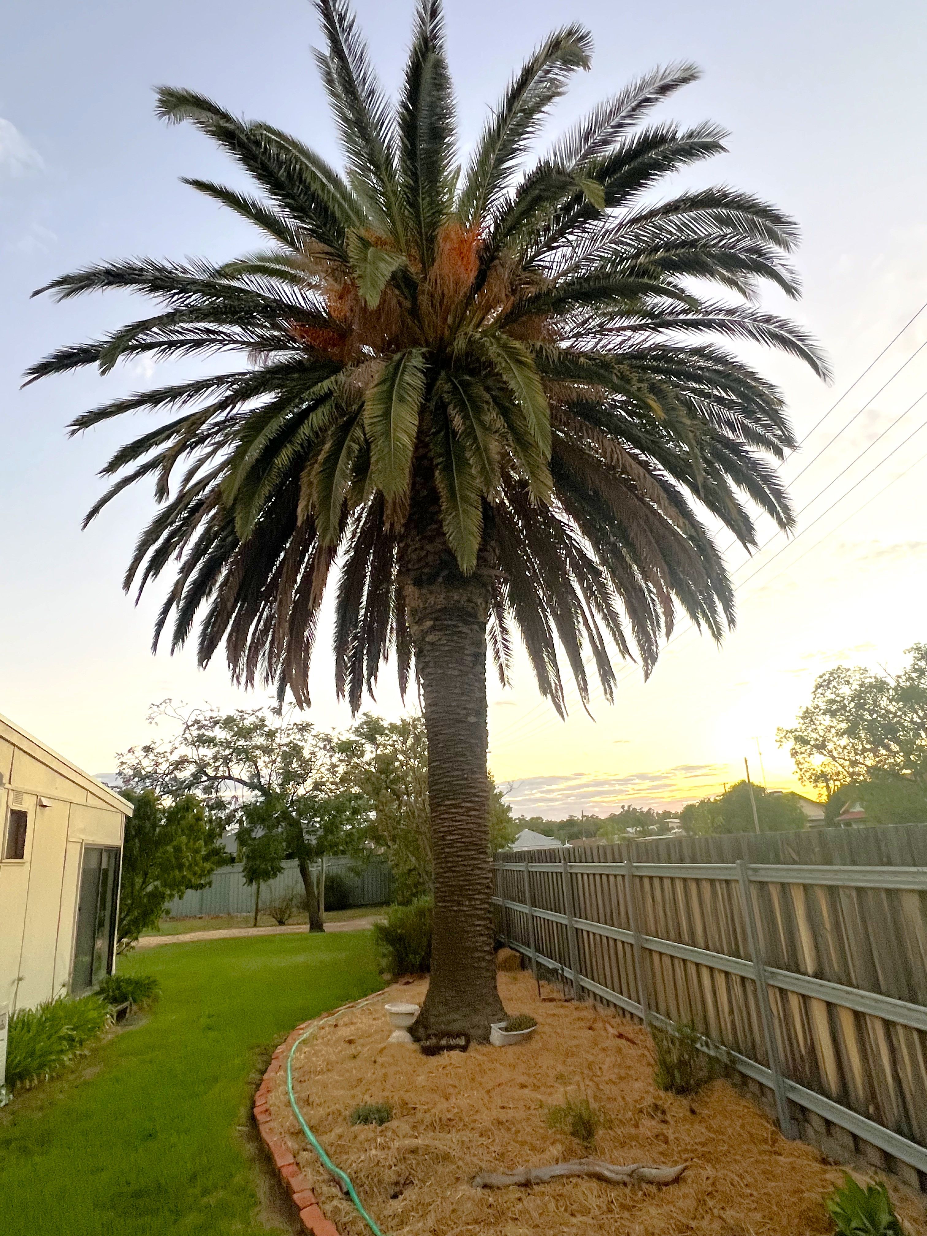 443 Maher Street — photo 12 of 15