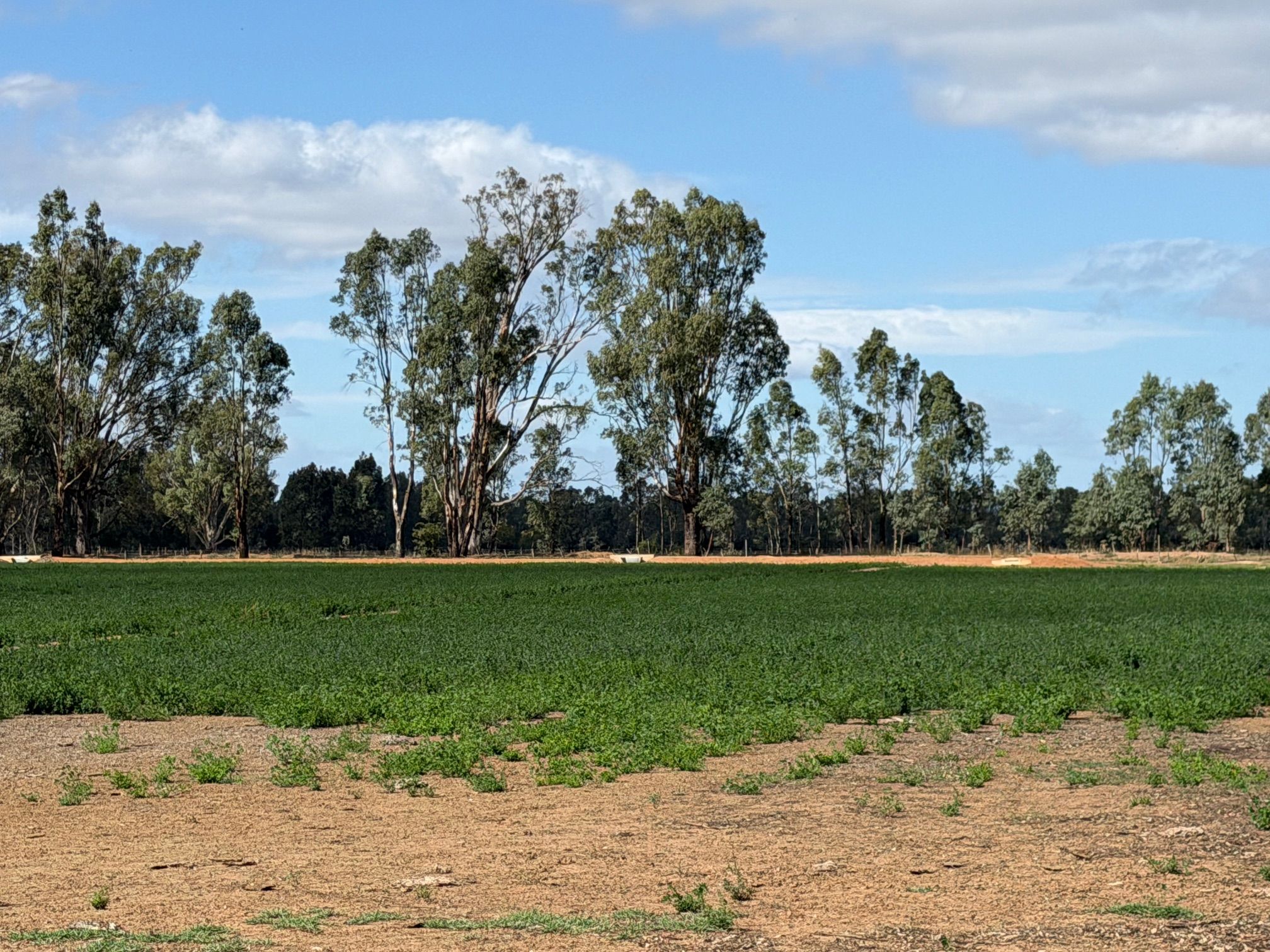 Lot 2/700 Madill Road, Undera, VIC 3629