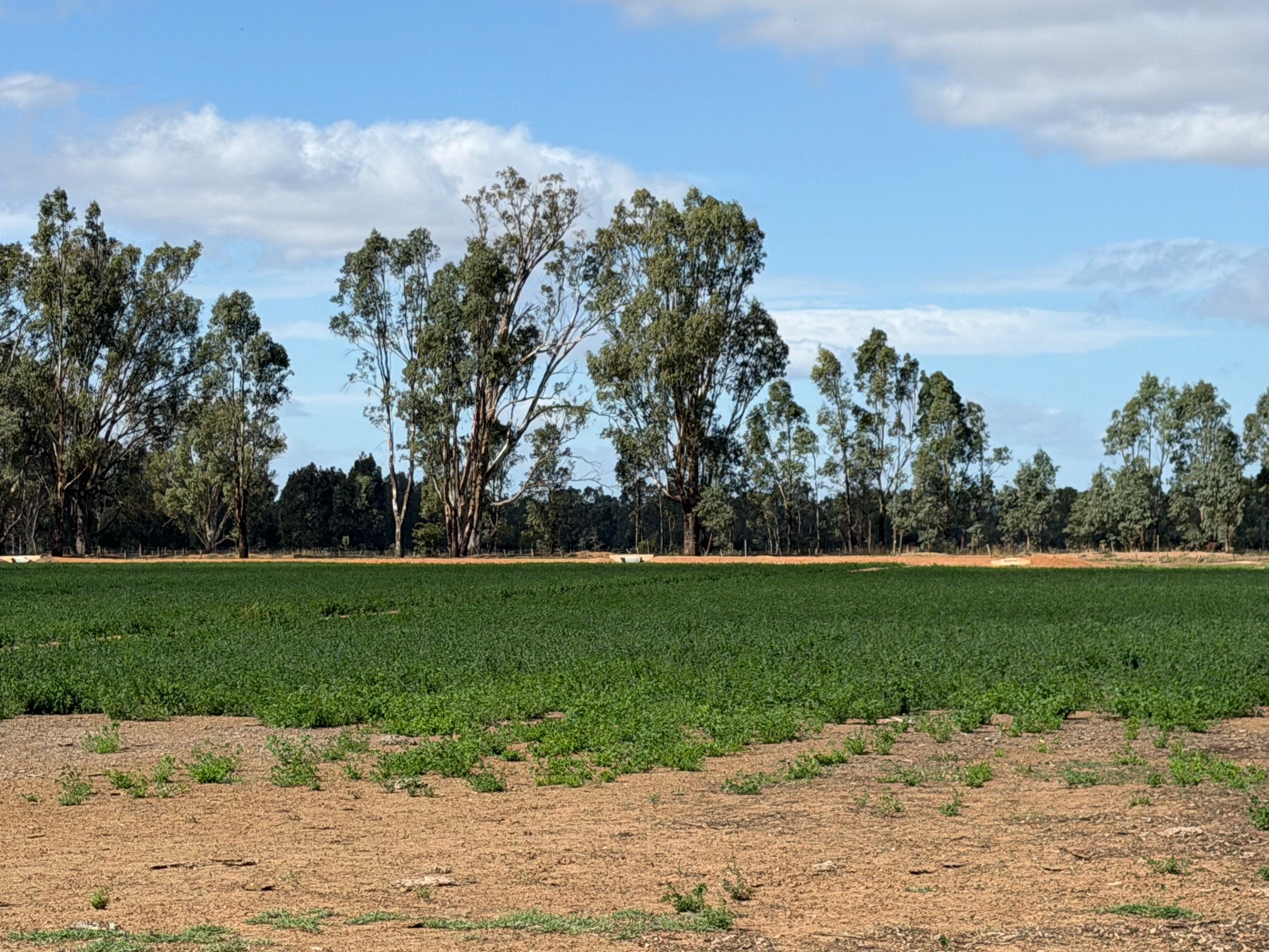 Lot 2/700 Madill Road, Undera, VIC 3629