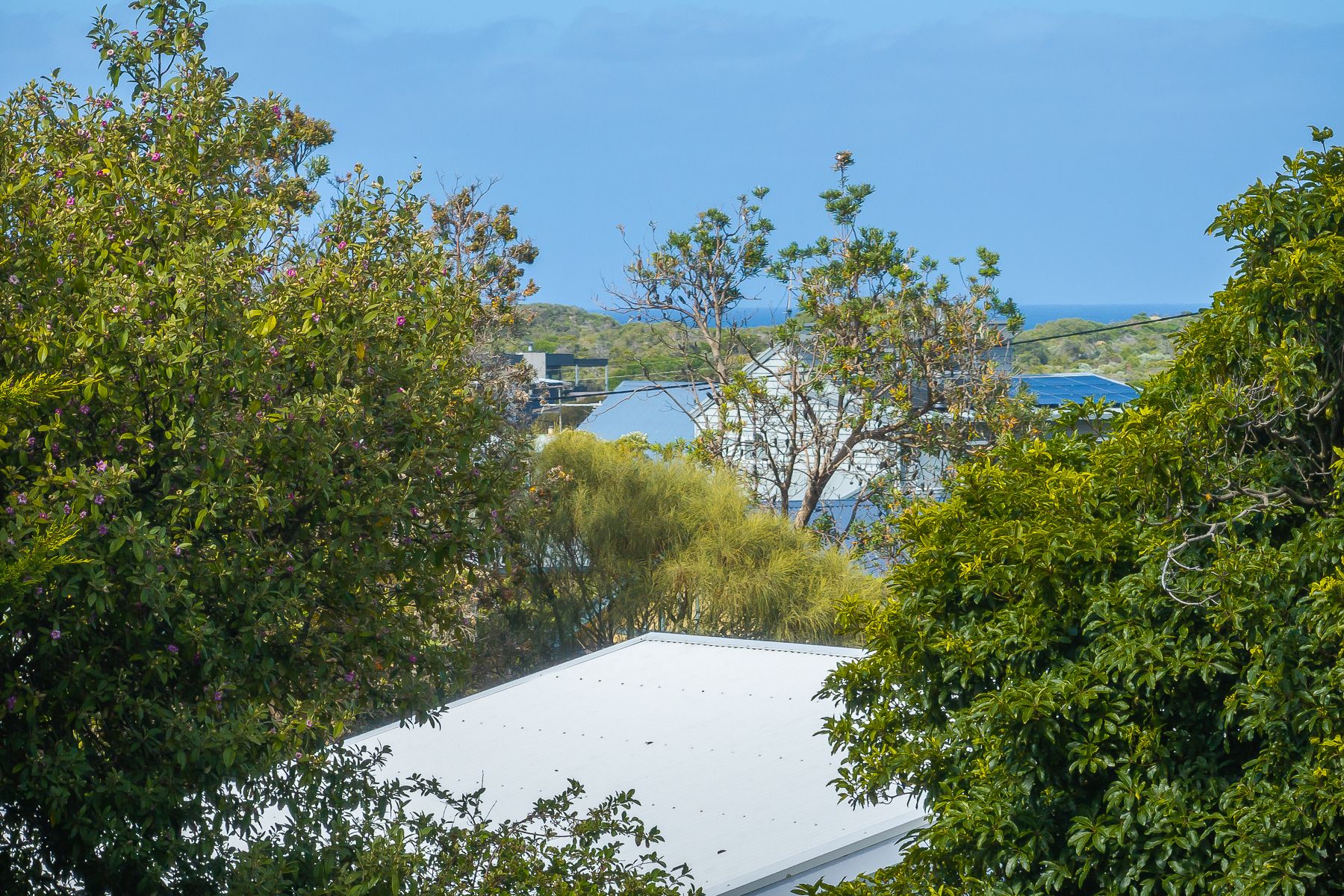 26 Scenic Road, Cape Paterson, VIC 3995