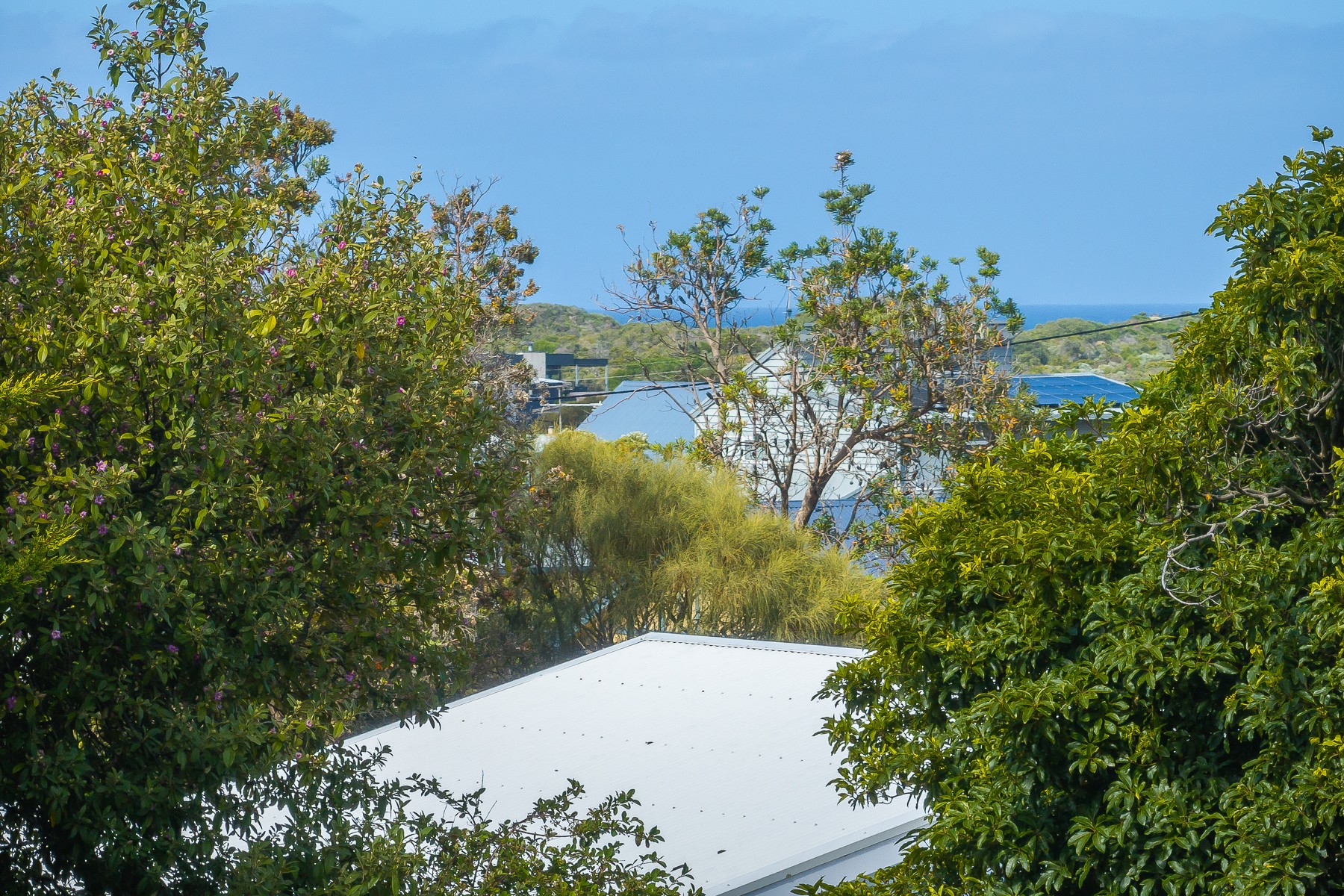 26 Scenic Road, Cape Paterson, VIC 3995