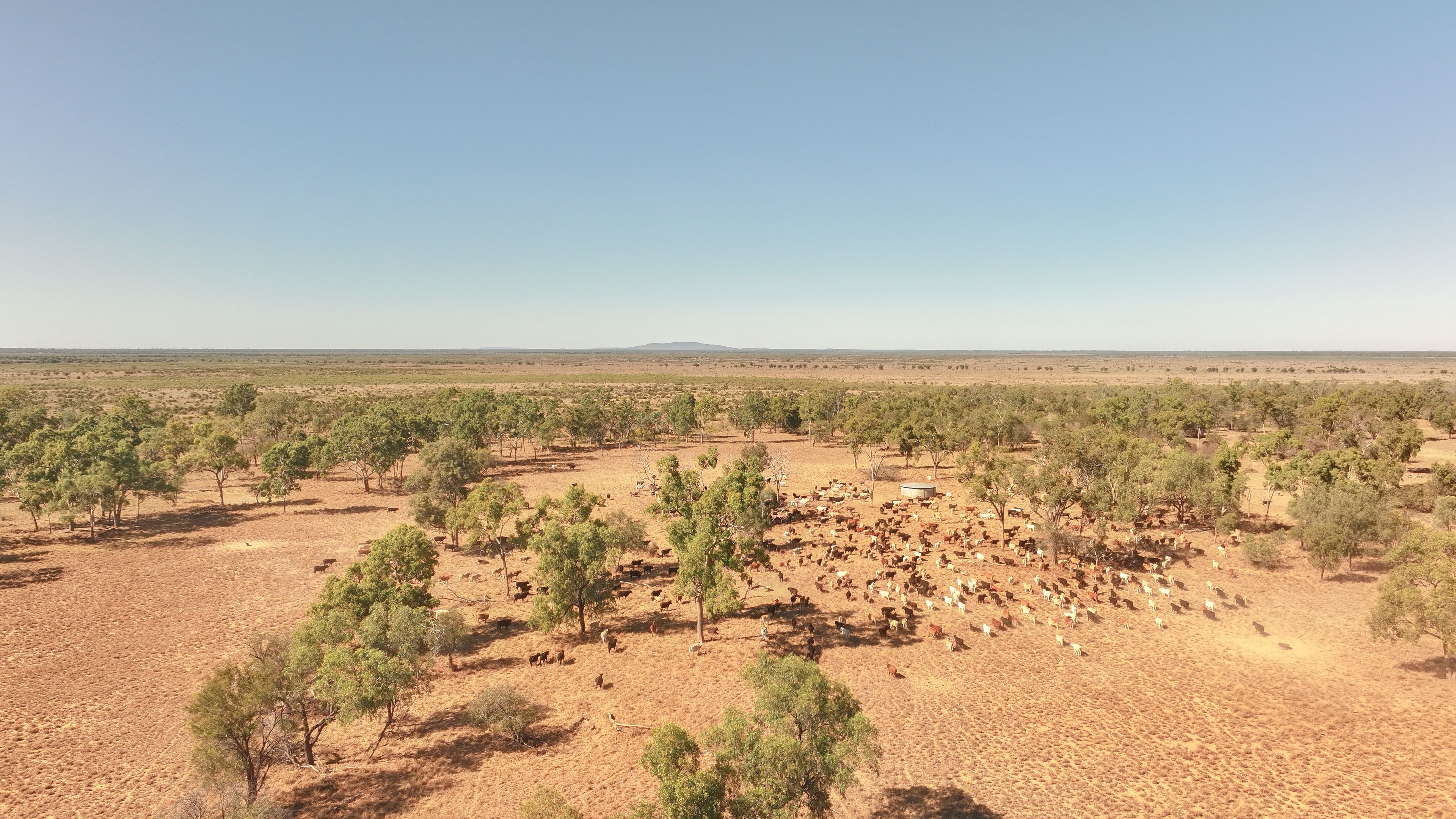 'East Top' Bygana Laglan Road — photo 12 of 18