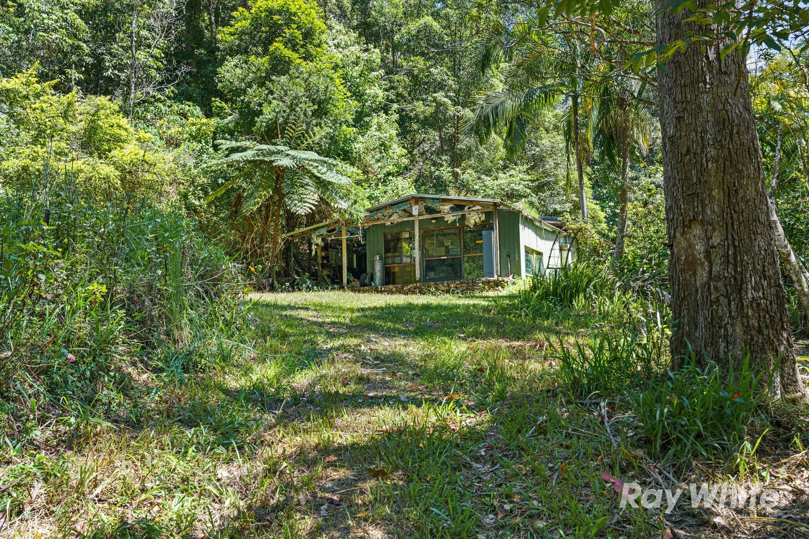 131 Porters Road — photo from Ray White Rural Murwillumbah