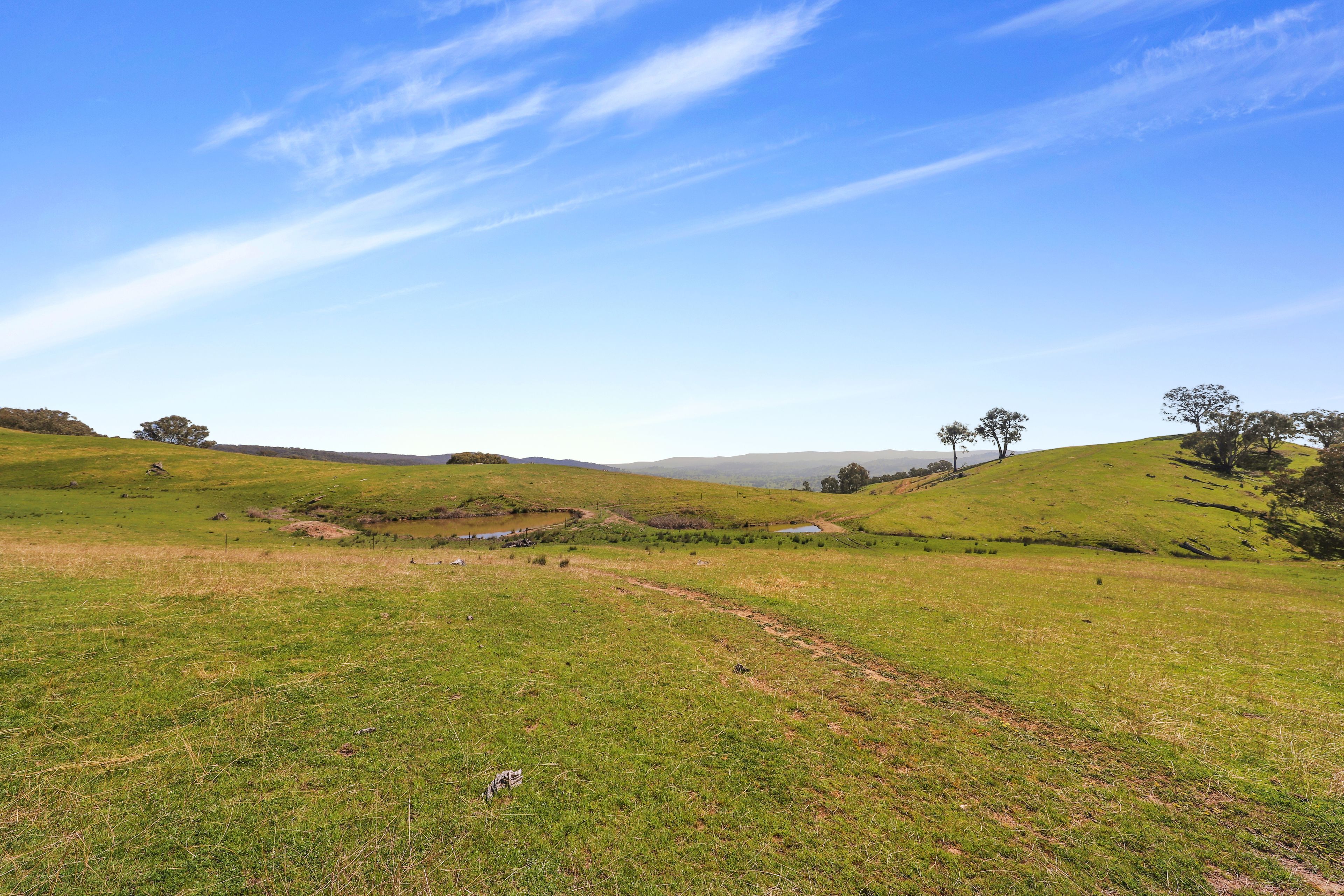 Part 1169 Grahamstown Road — photo 7 of 13