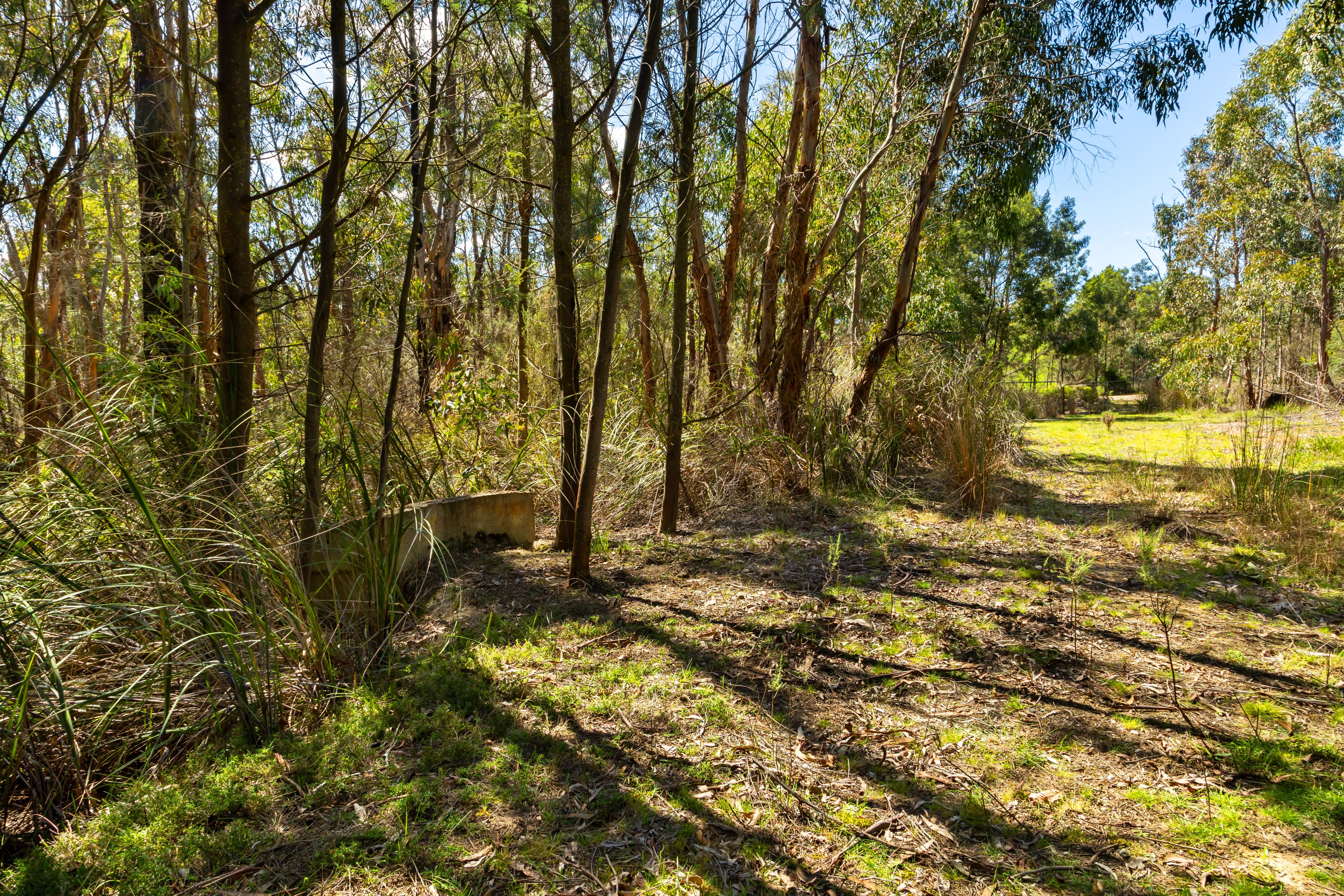 Lot 8 Pryors Road — photo 5 of 10