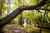 153 Cashmere Road photo 29