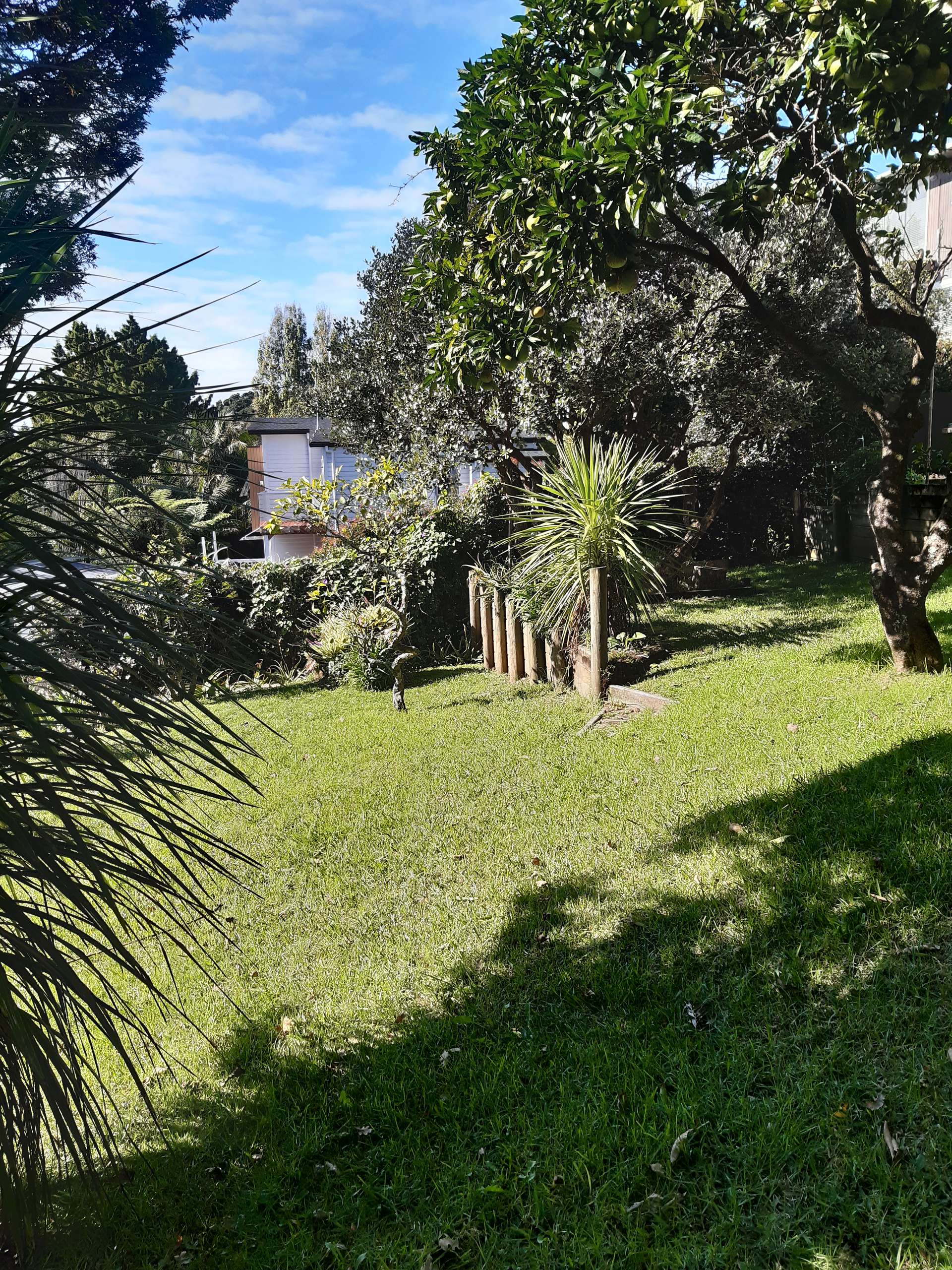 15 Geraldine Place photo 16