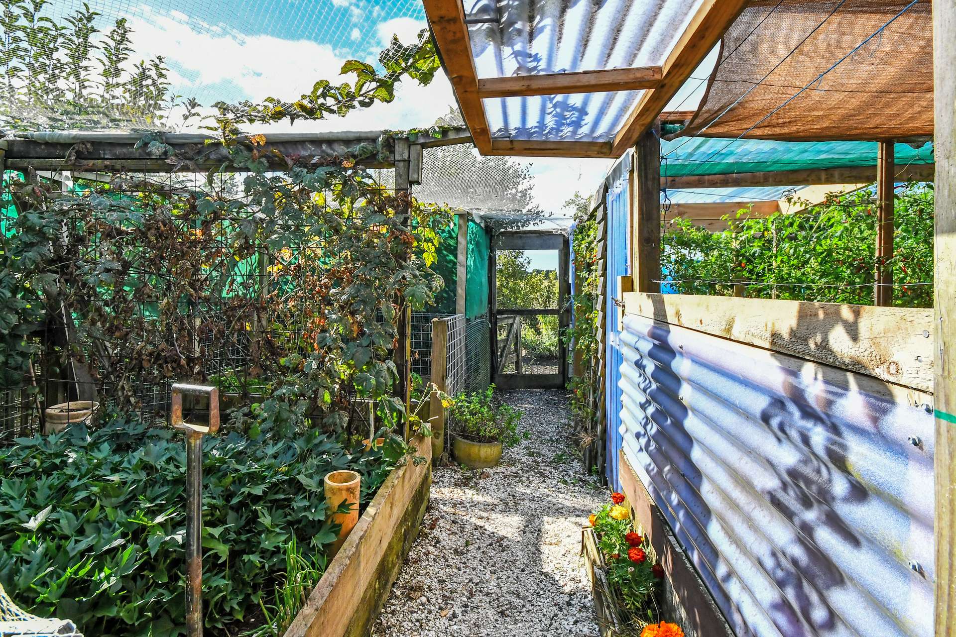 6 Puriri Avenue photo 26