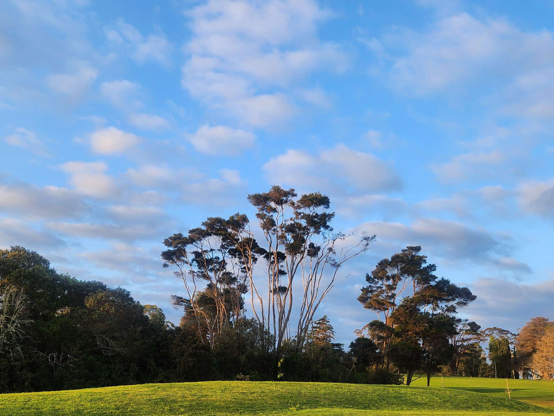 14 Third Fairway Place photo 1