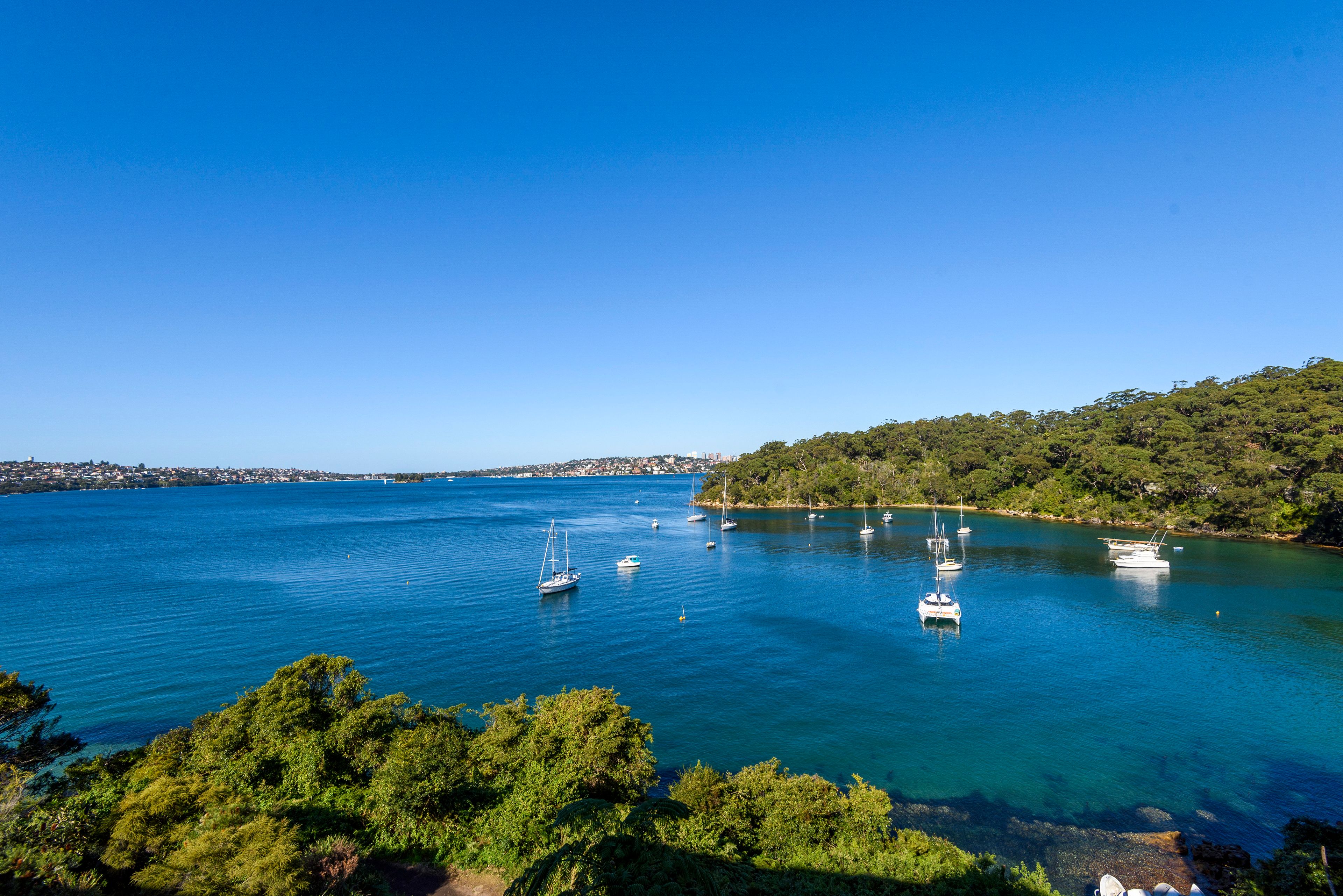 42 Iluka Road, Mosman NSW 2088